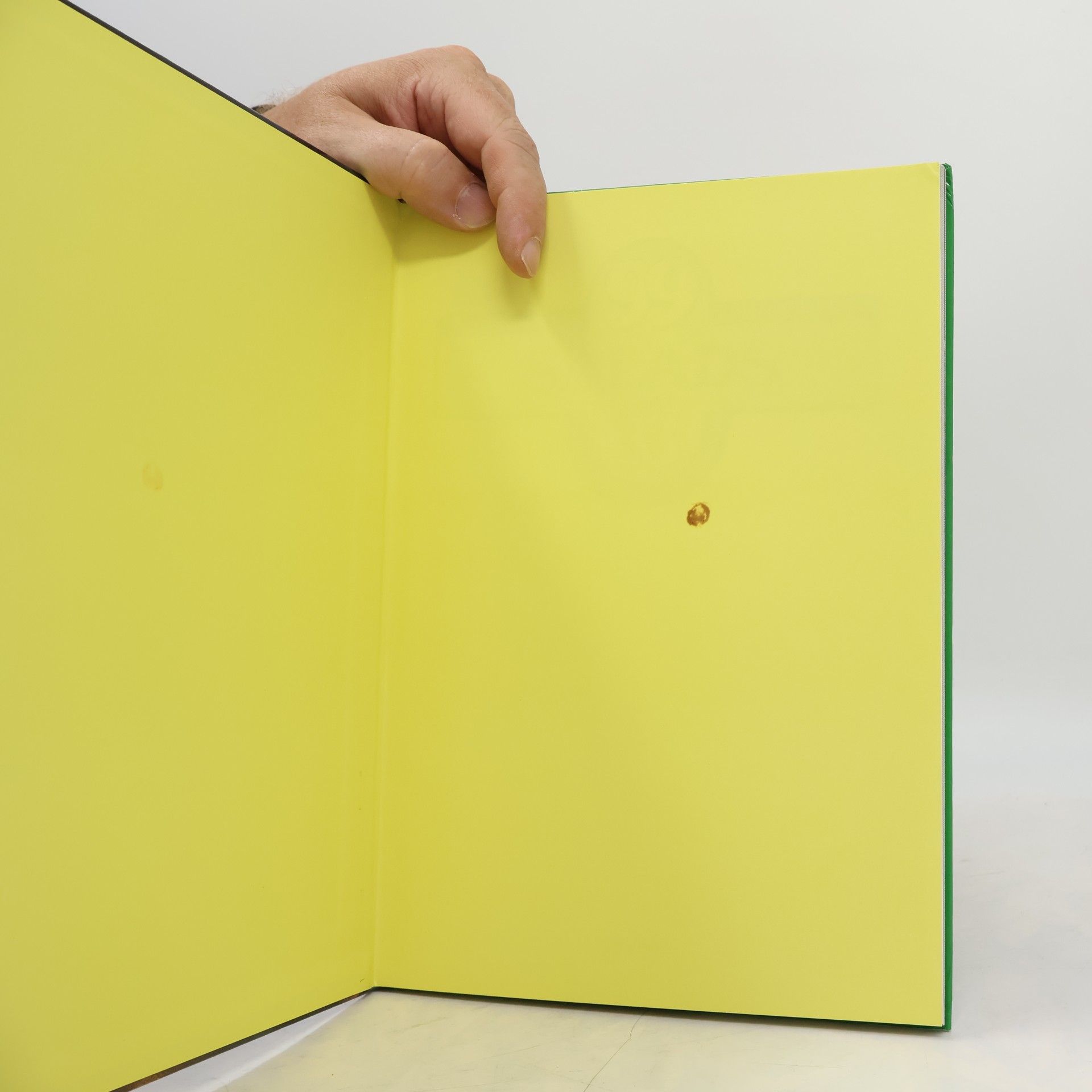 Mari Lajos 99 Salads With 33 Colour Photographs