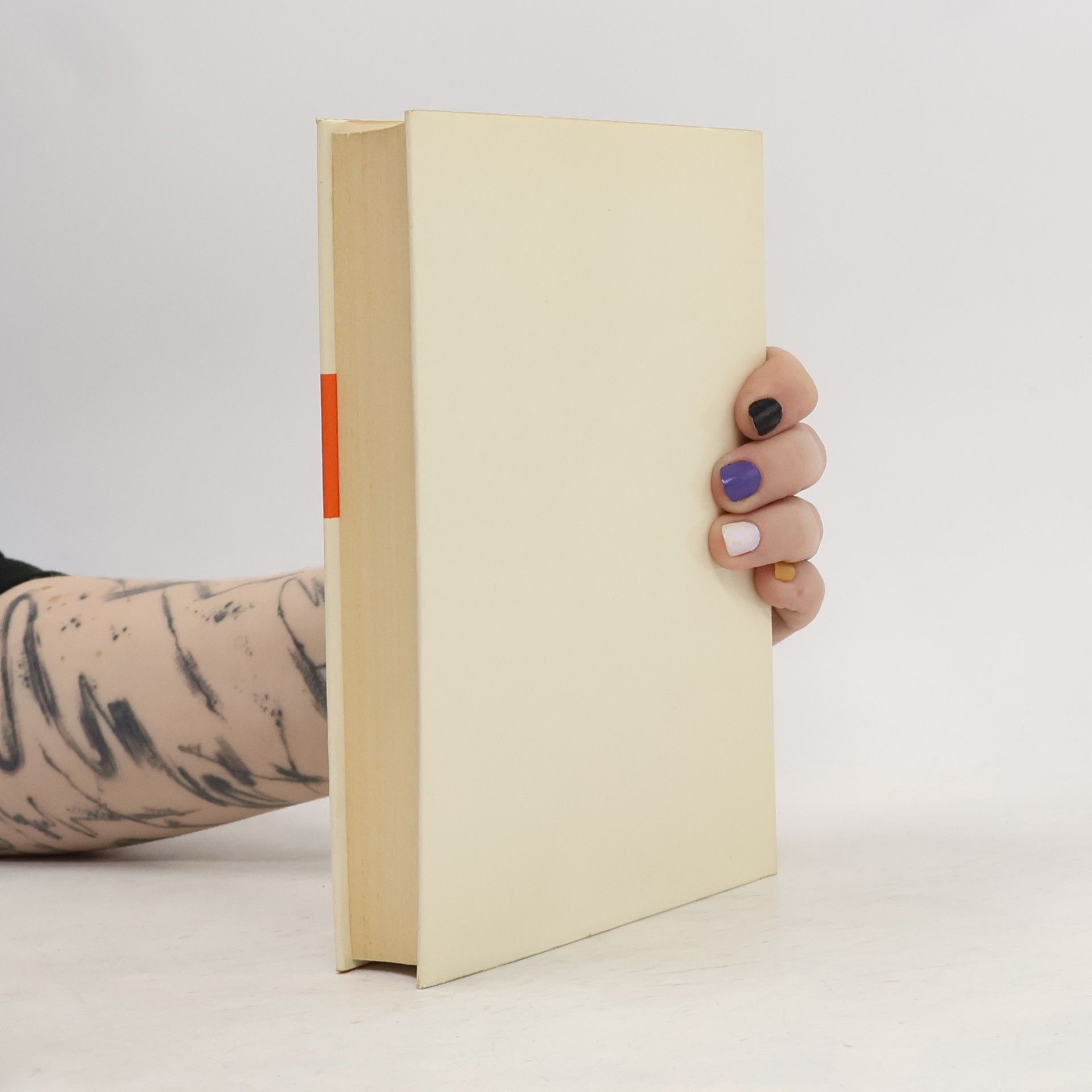 Autorenkollektiv Literatur im Spiegel