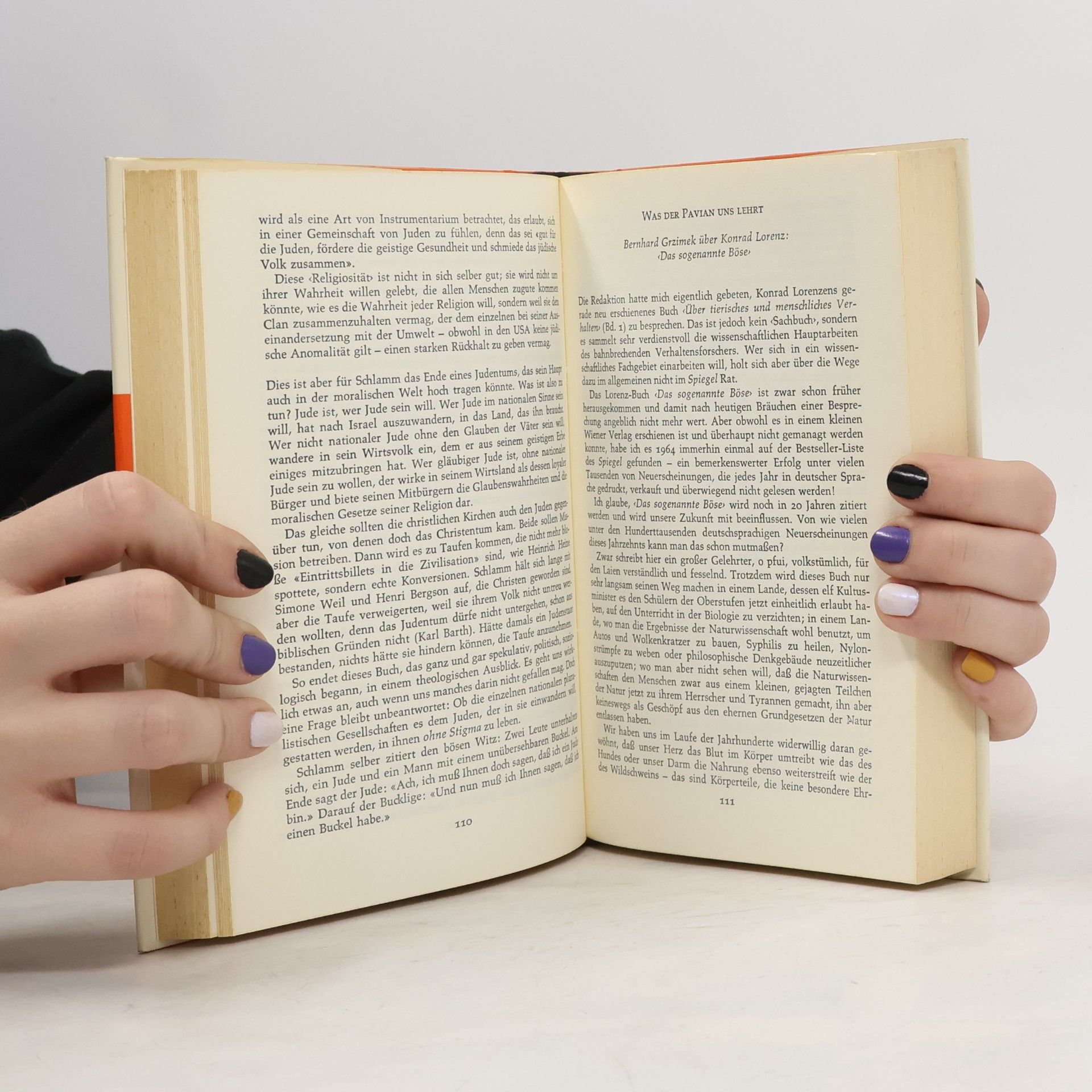 Autorenkollektiv Literatur im Spiegel