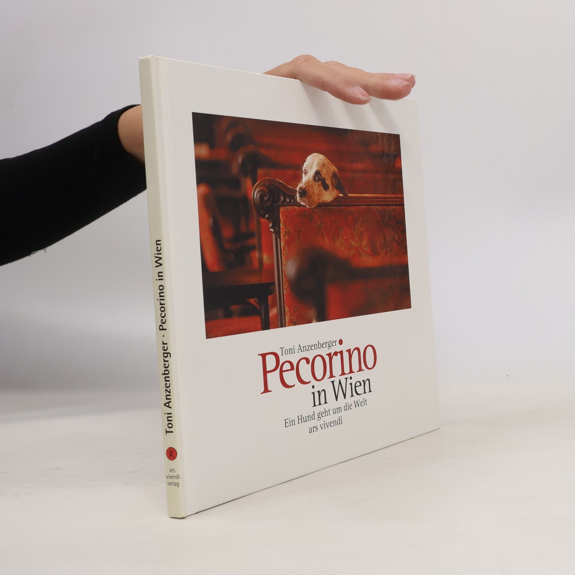 Pecorino in Wien