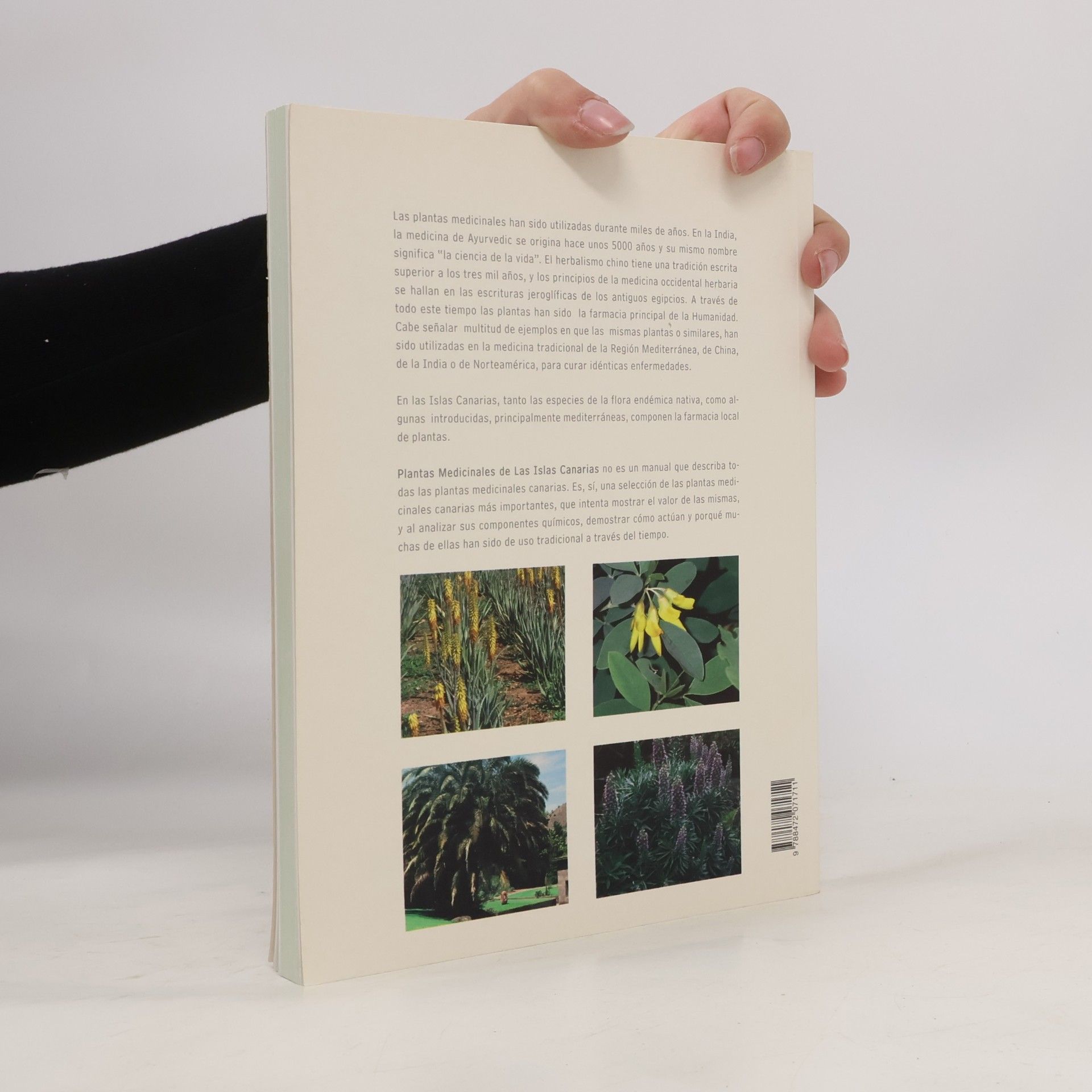 David Bramwell Plantas medicinales de las Islas Canarias