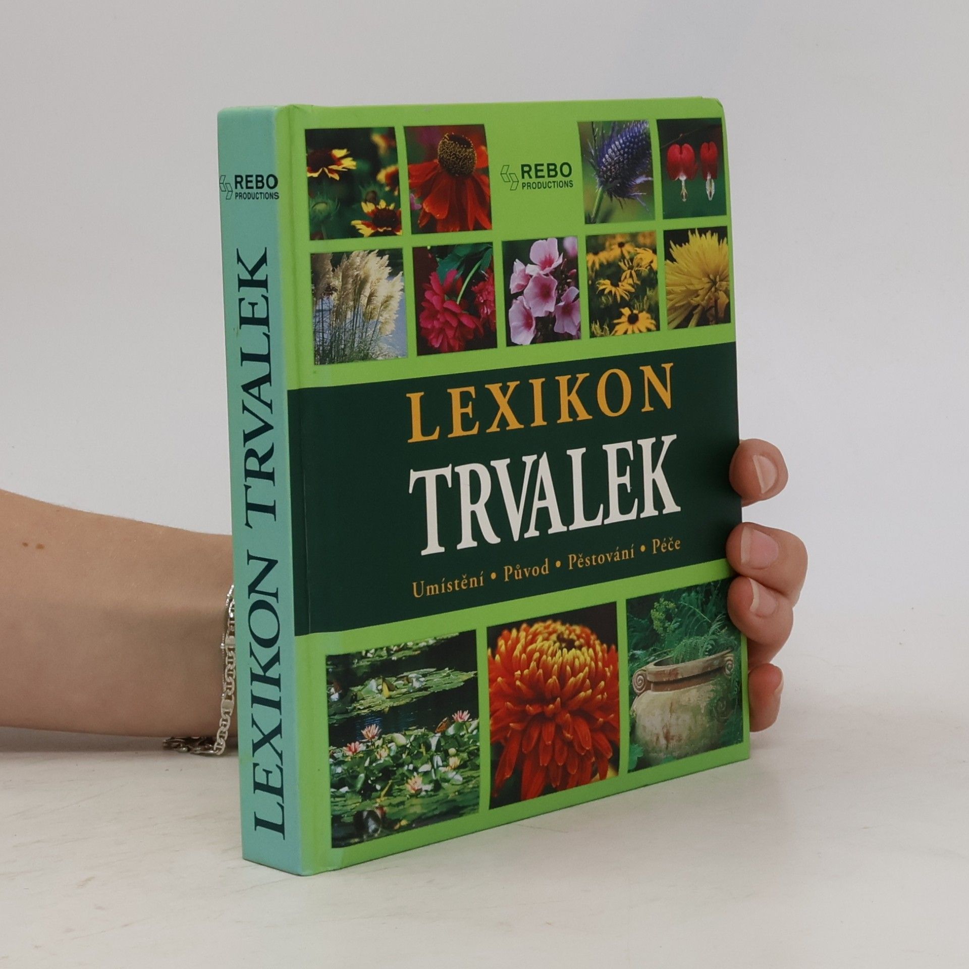 Andrea Rausch Lexikon trvalek : umístění, původ, pěstování, péče