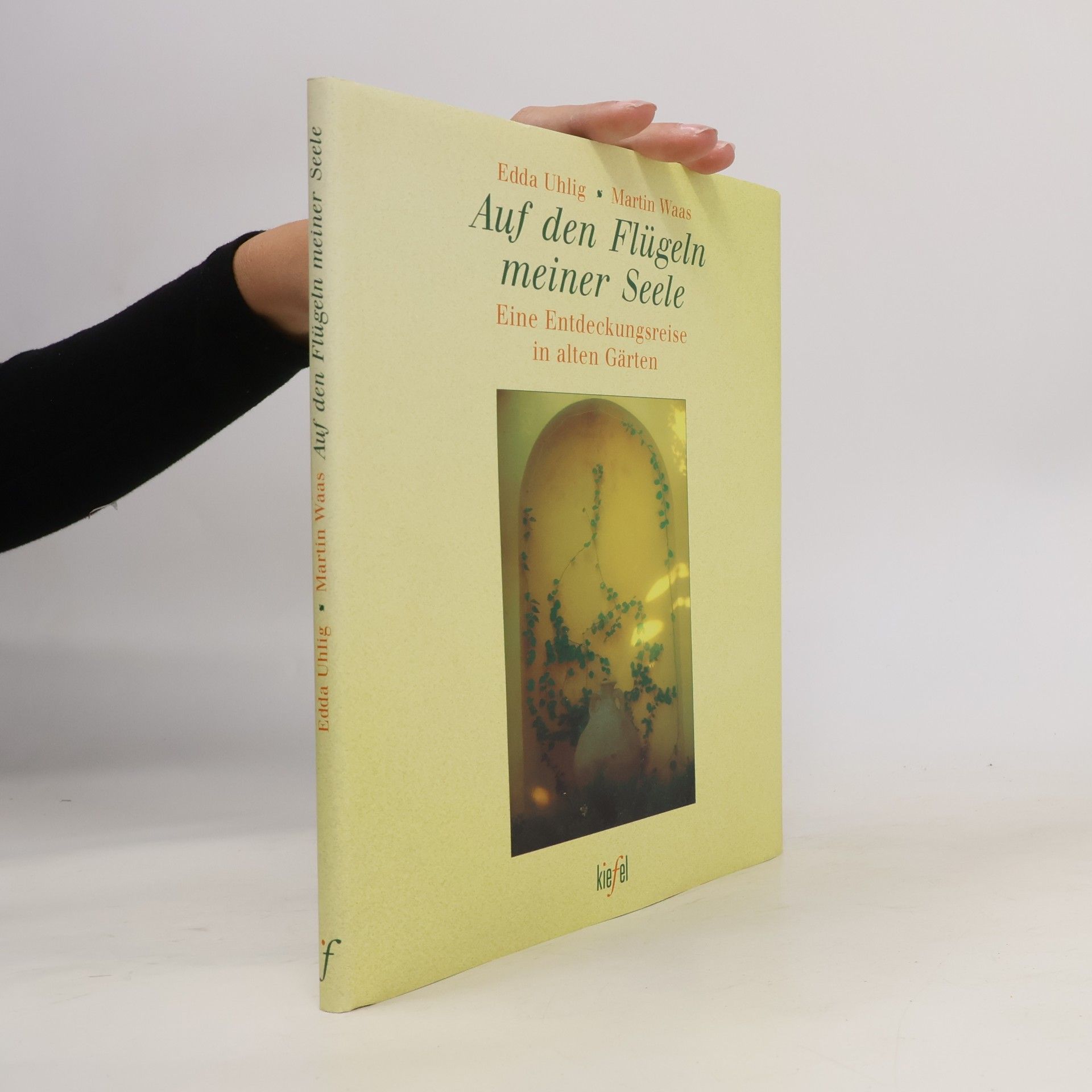 Auf den Flügeln meiner Seele