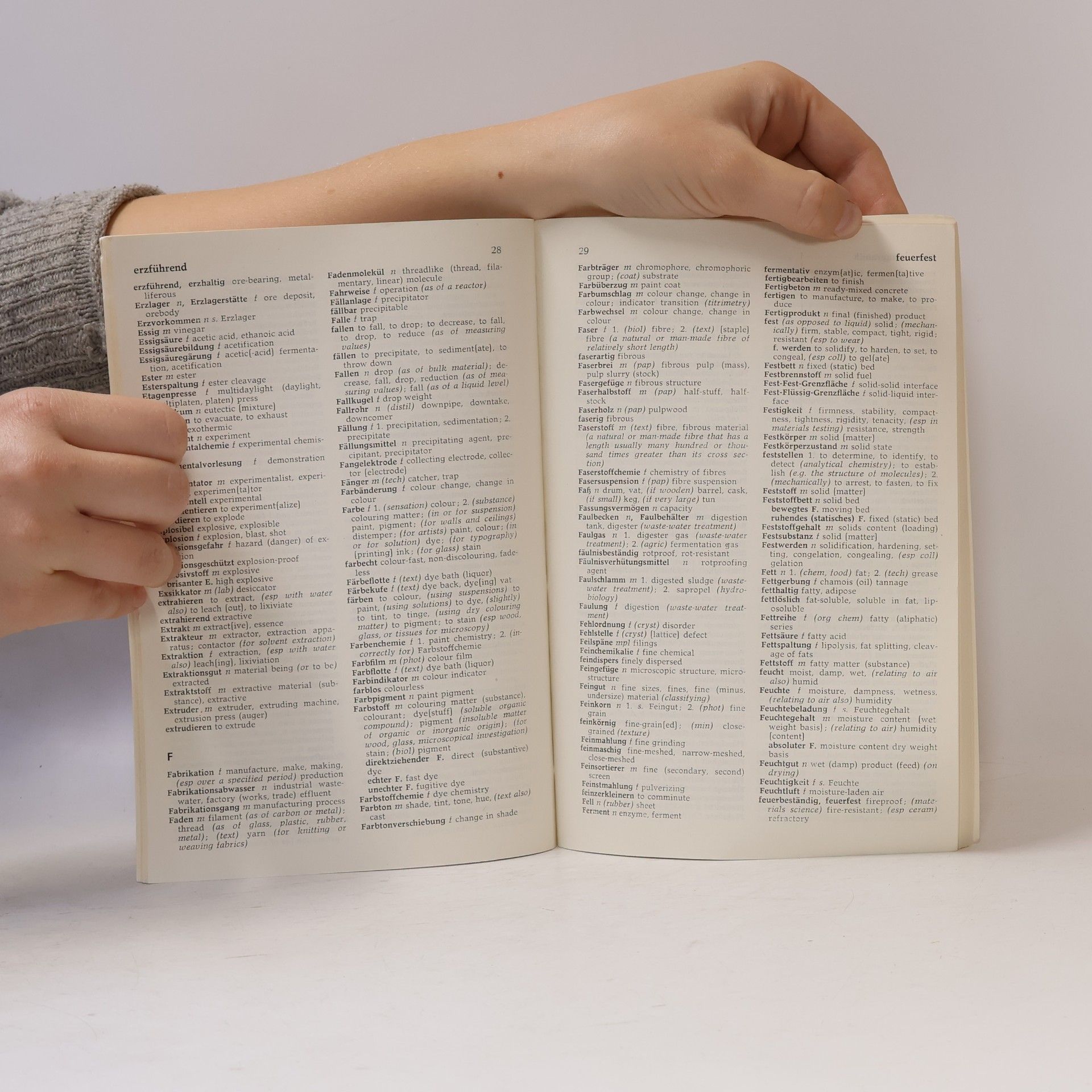 Gross Kleines Wörterbuch der Chemie und chemischen Technik