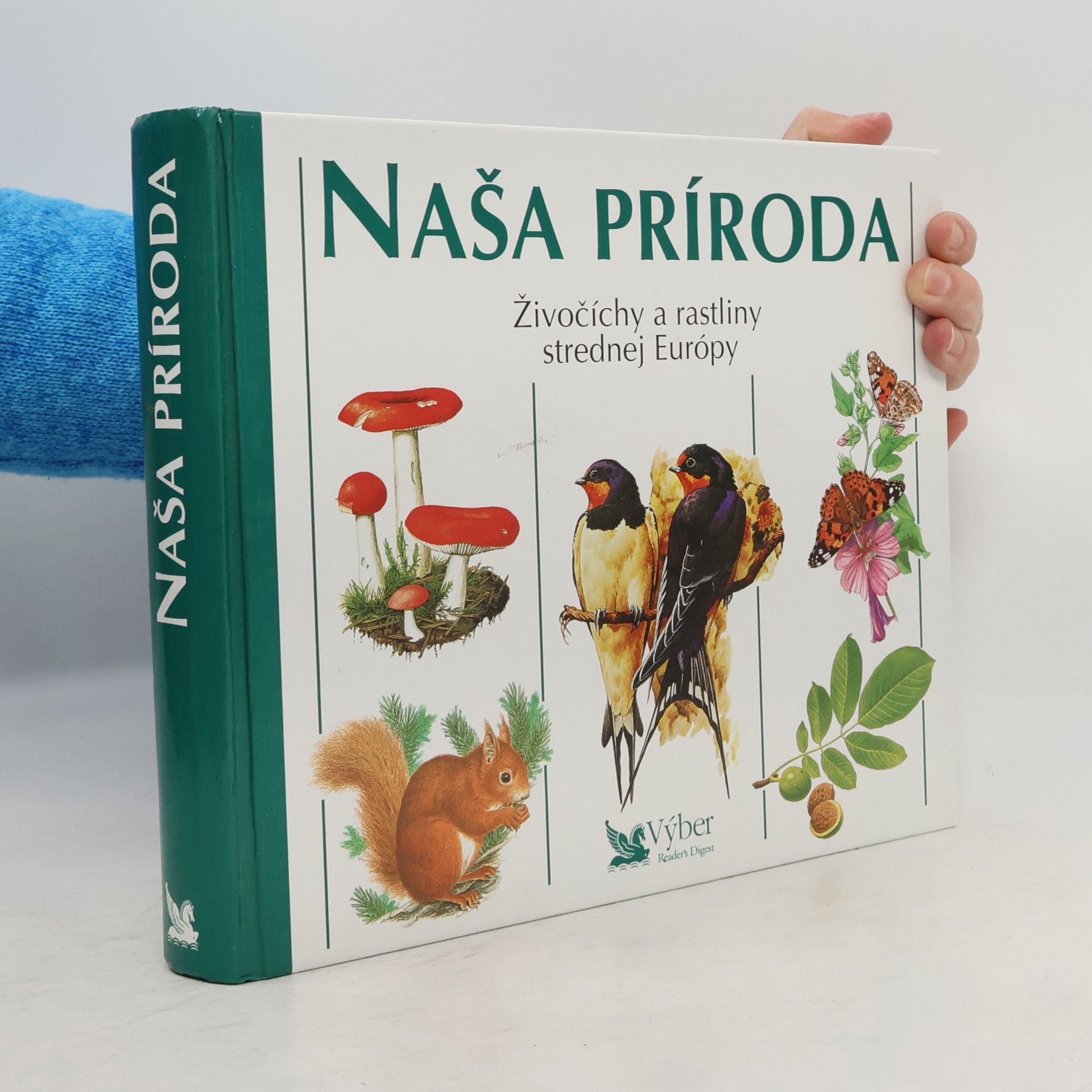 Autorenkollektiv Naša príroda