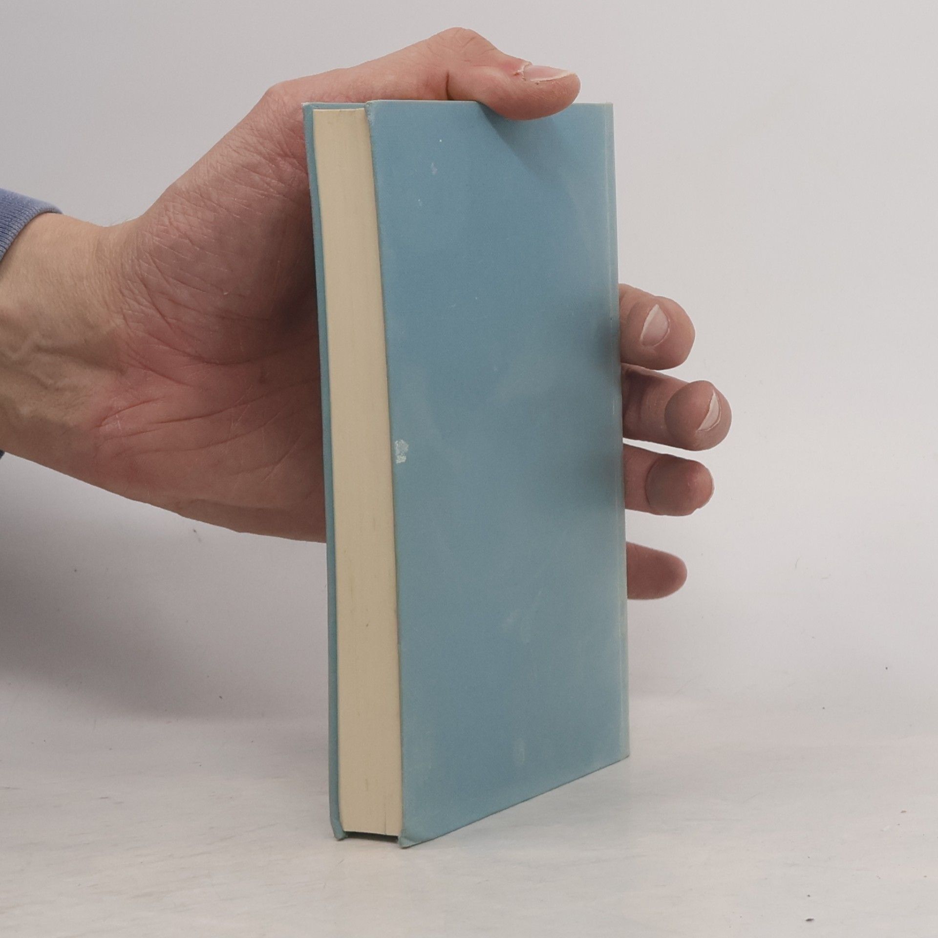 Olaf Klose Handbuch der historischen Stätten Deutschlands. Schleswig-Holstein und Hamburg