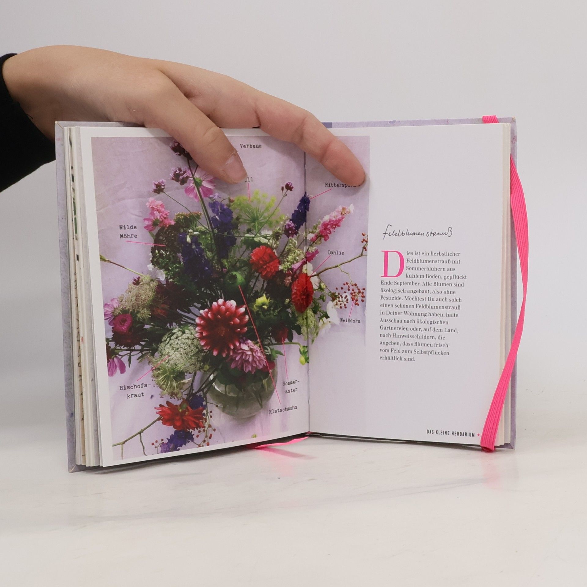 Saskia de Valk Das kleine Herbarium