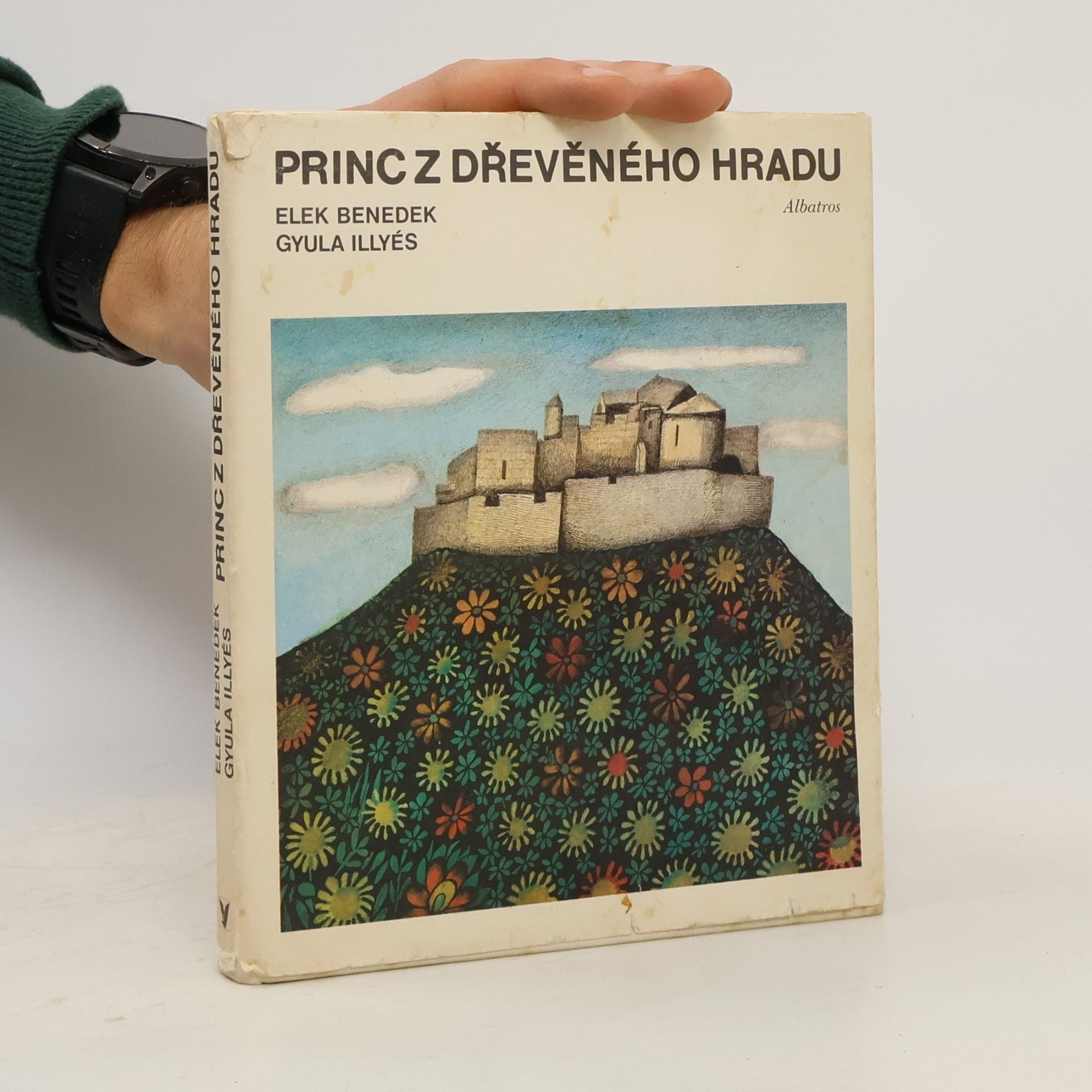 Princ z dřevěného hradu