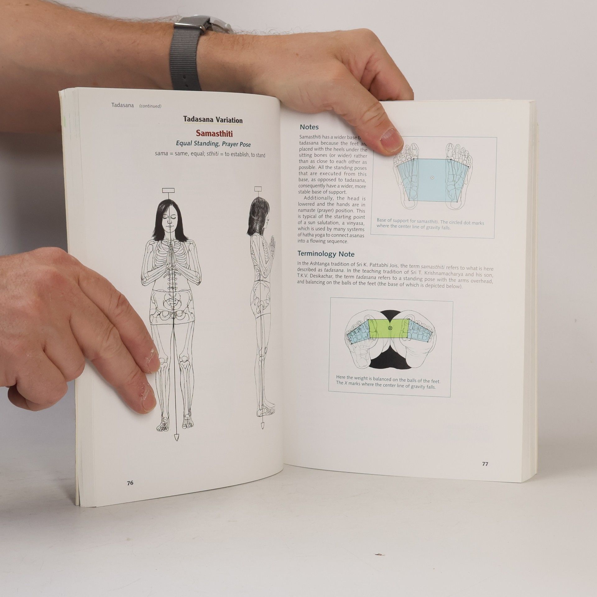 Leslie Kaminoff Yoga anatomy