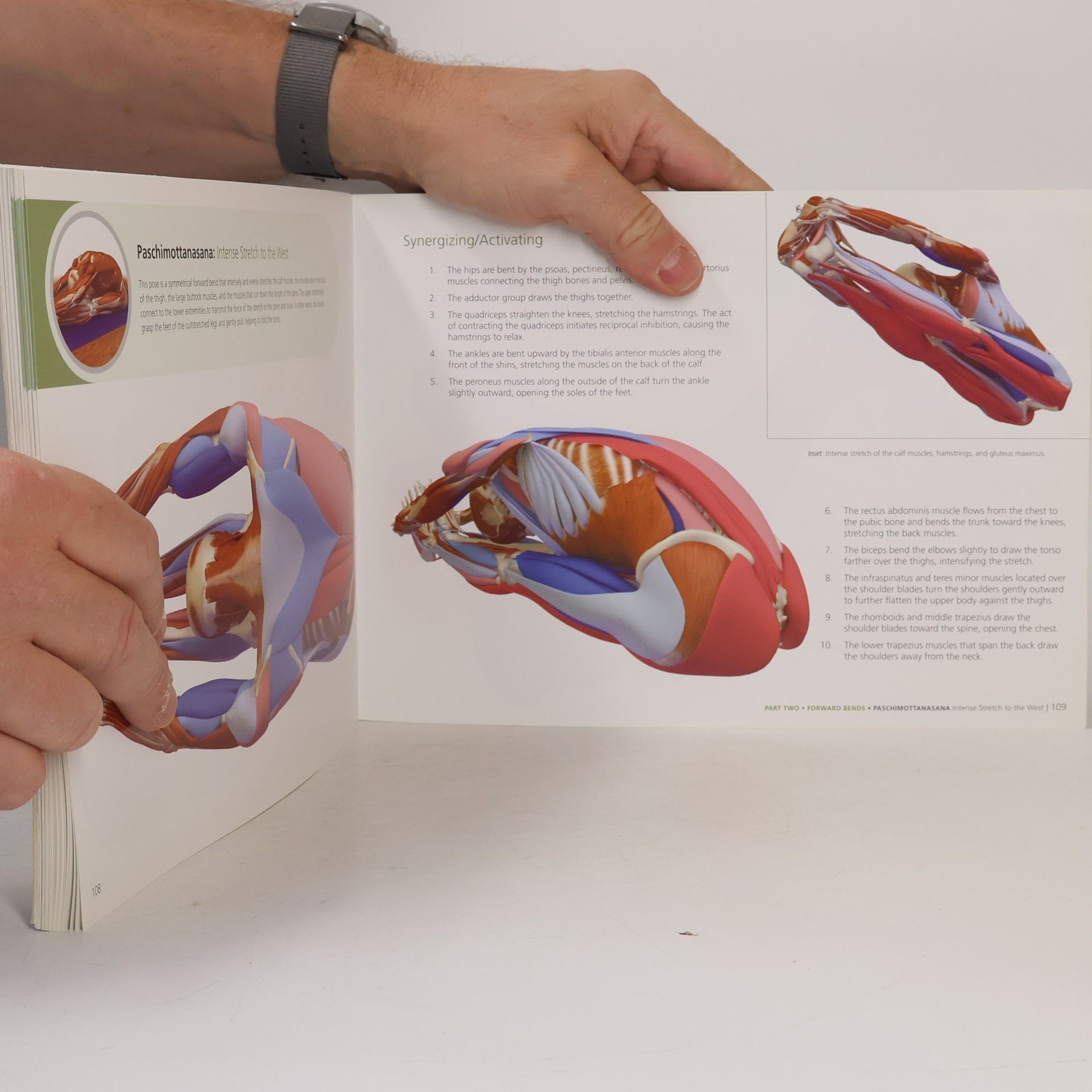 Ray Long Key Poses of Yoga: the Scientific Keys Vol 2