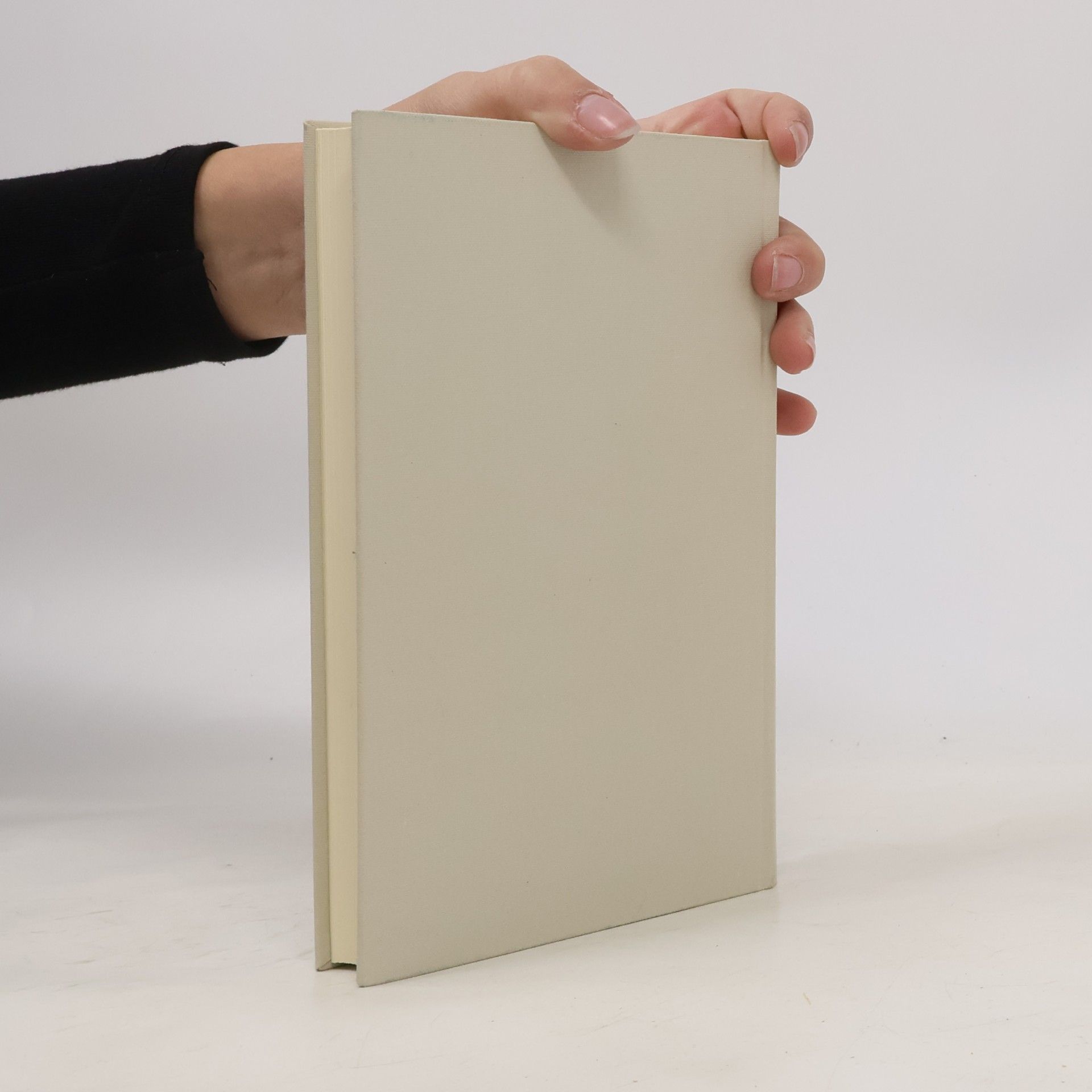 Euklid Die Elemente. Buch I-XIII