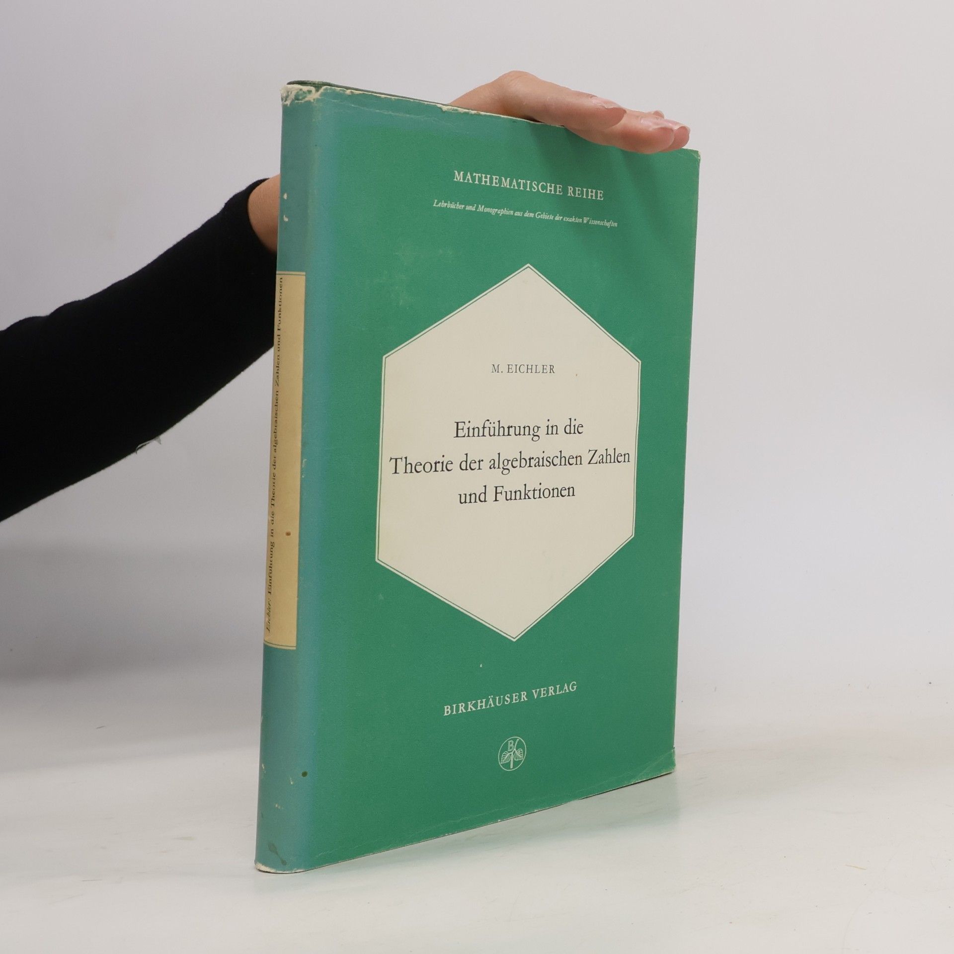 Einführung in die Theorie der algebraischen Zahlen und Funktionen