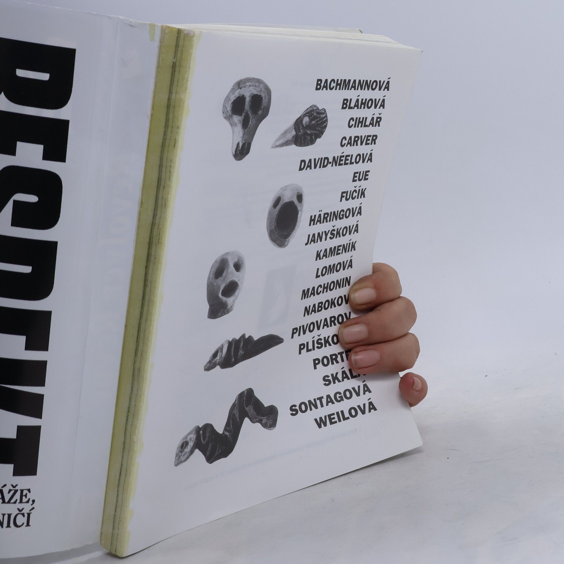 Autorenkollektiv Revolver Revue 20. Časopis pro literaturu a výtvarné umění