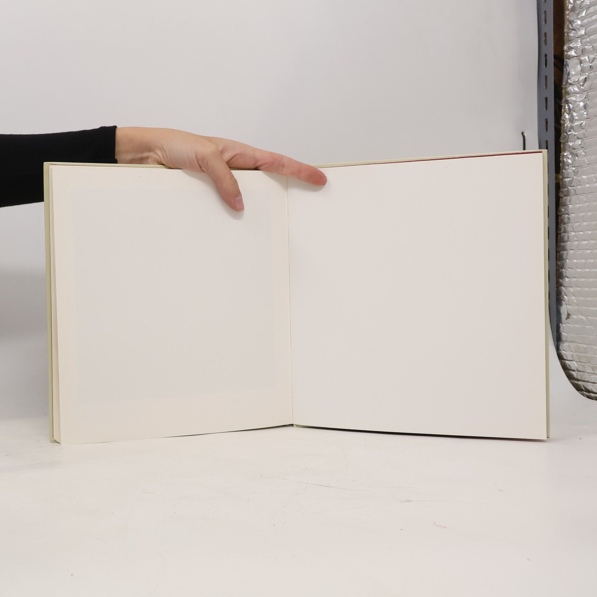 Gerd Fischer Mathematische Modelle / Mathematical Models
