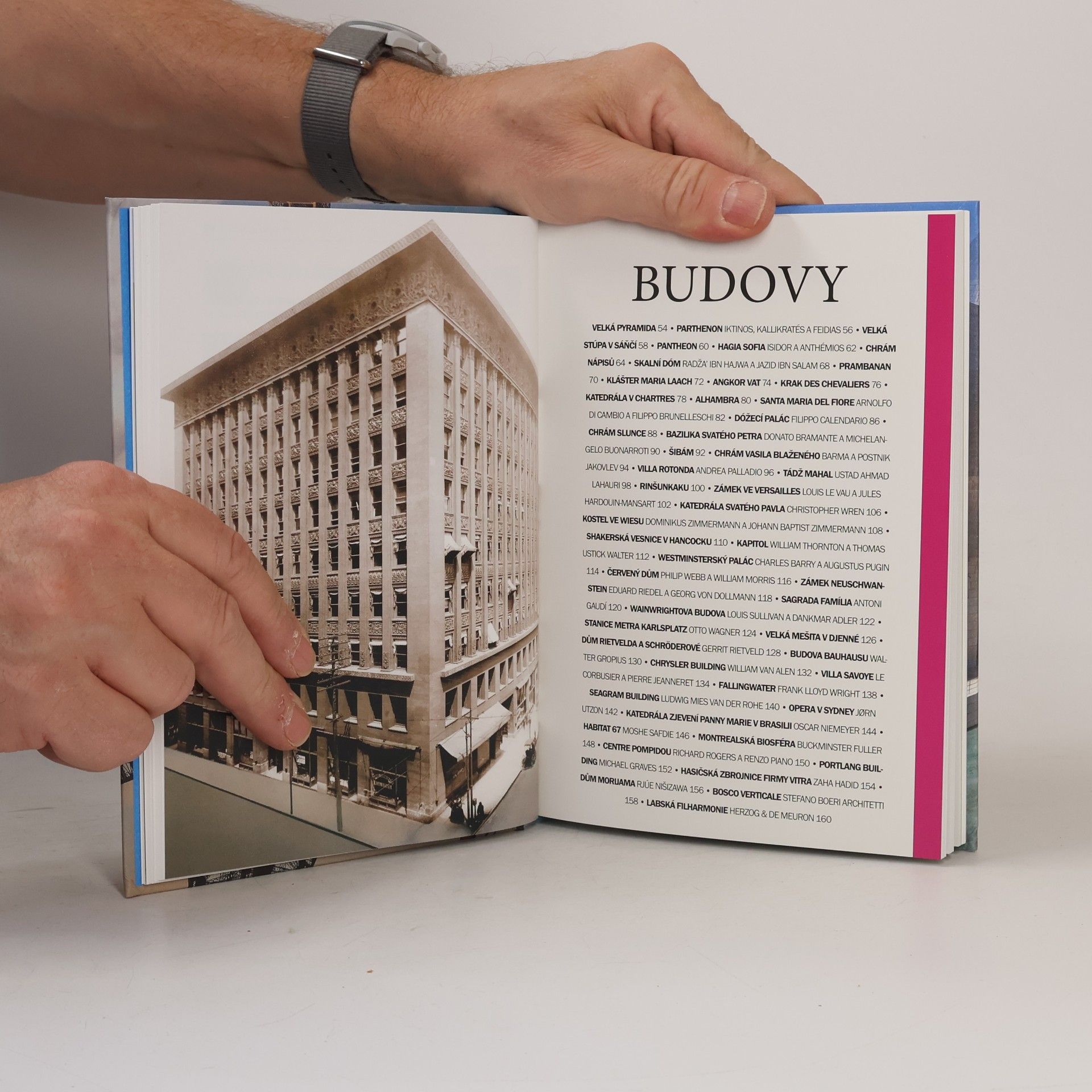 Susie Hodge Stručný příběh architektury