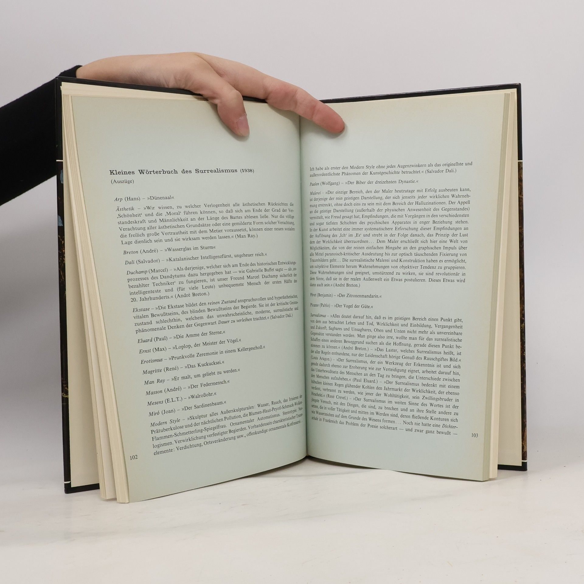 José Pierre Der Surrealismus 21