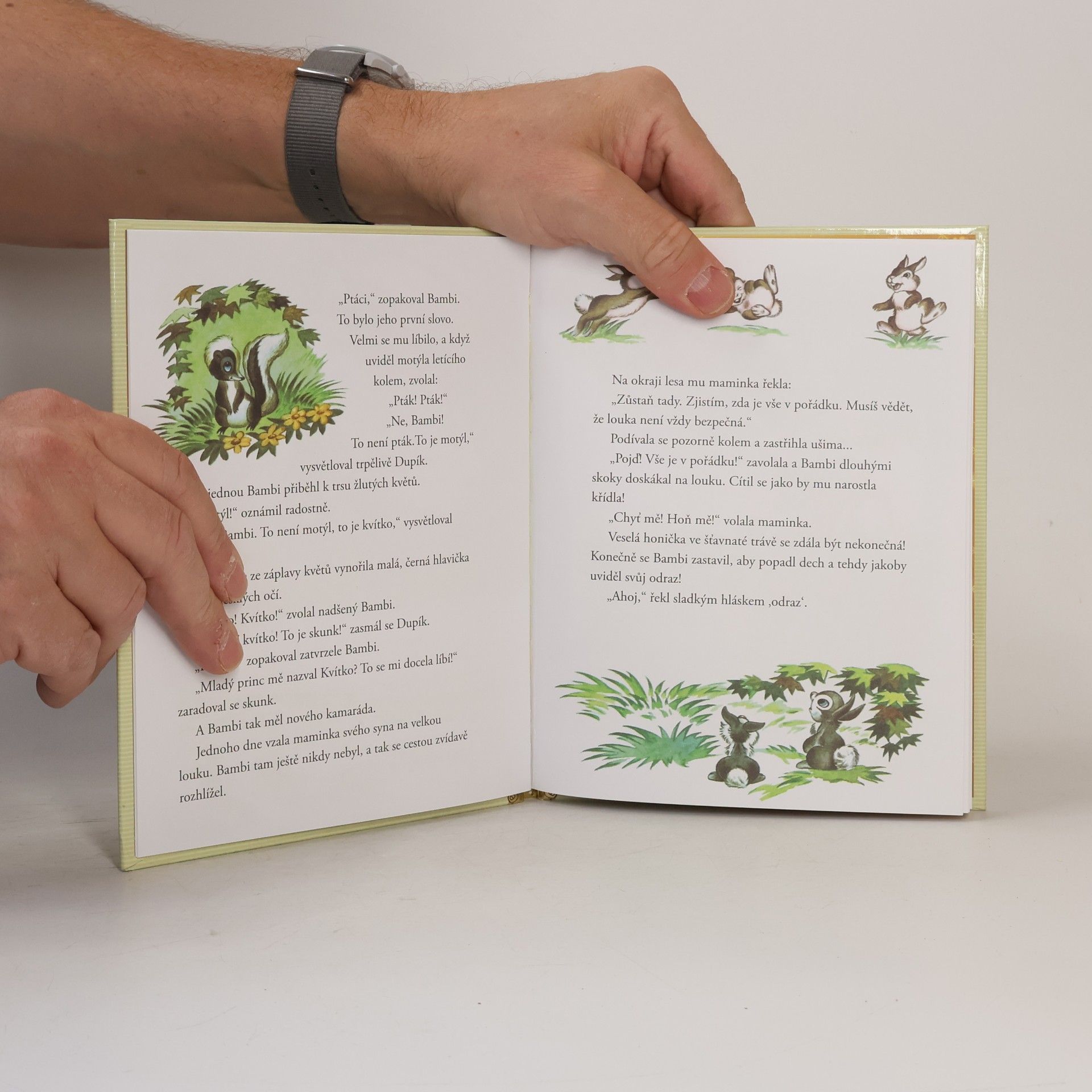 Various authors Zlatá sbírka pohádek 4. Bambi