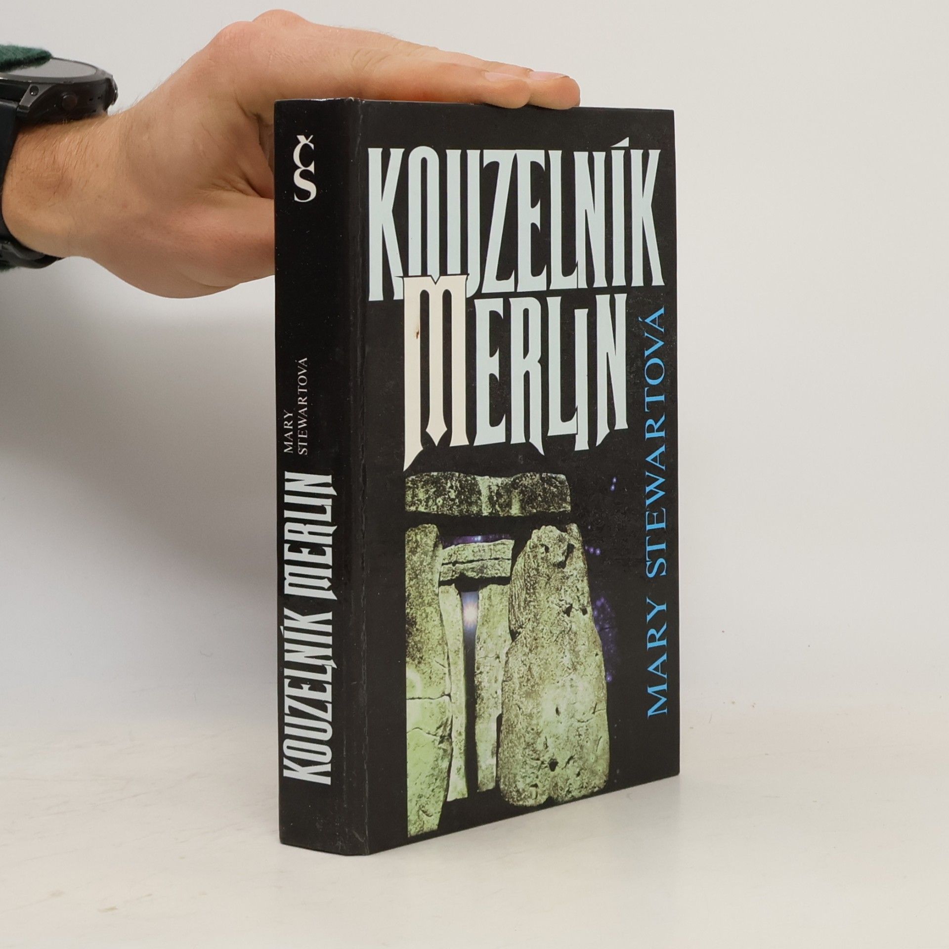 Mary Stewart Kouzelník Merlin