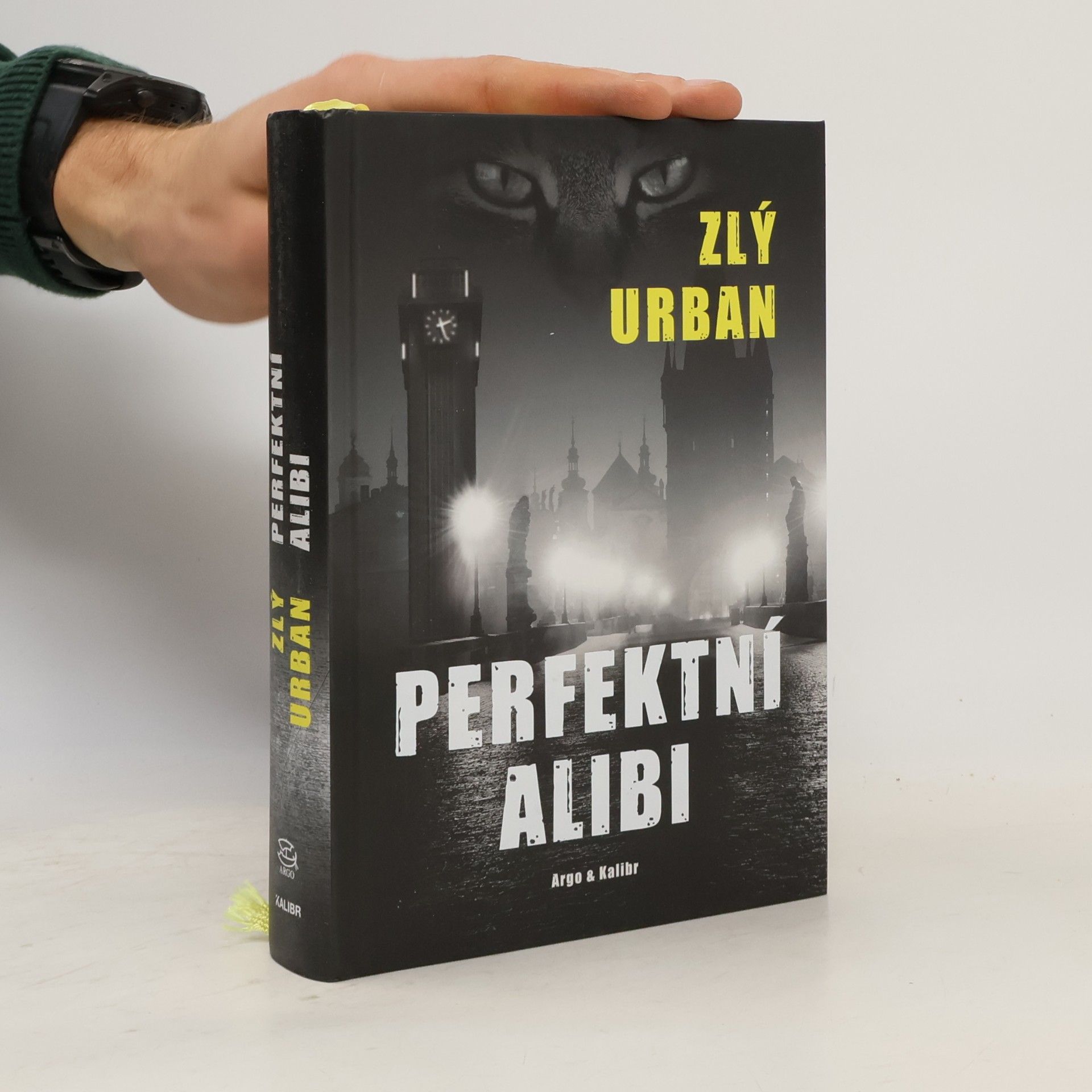 Vladimír Zlý Perfektní alibi