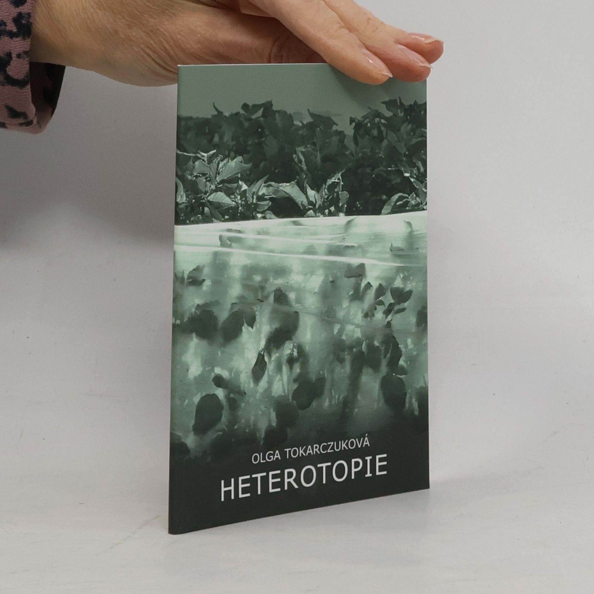 Heterotopie