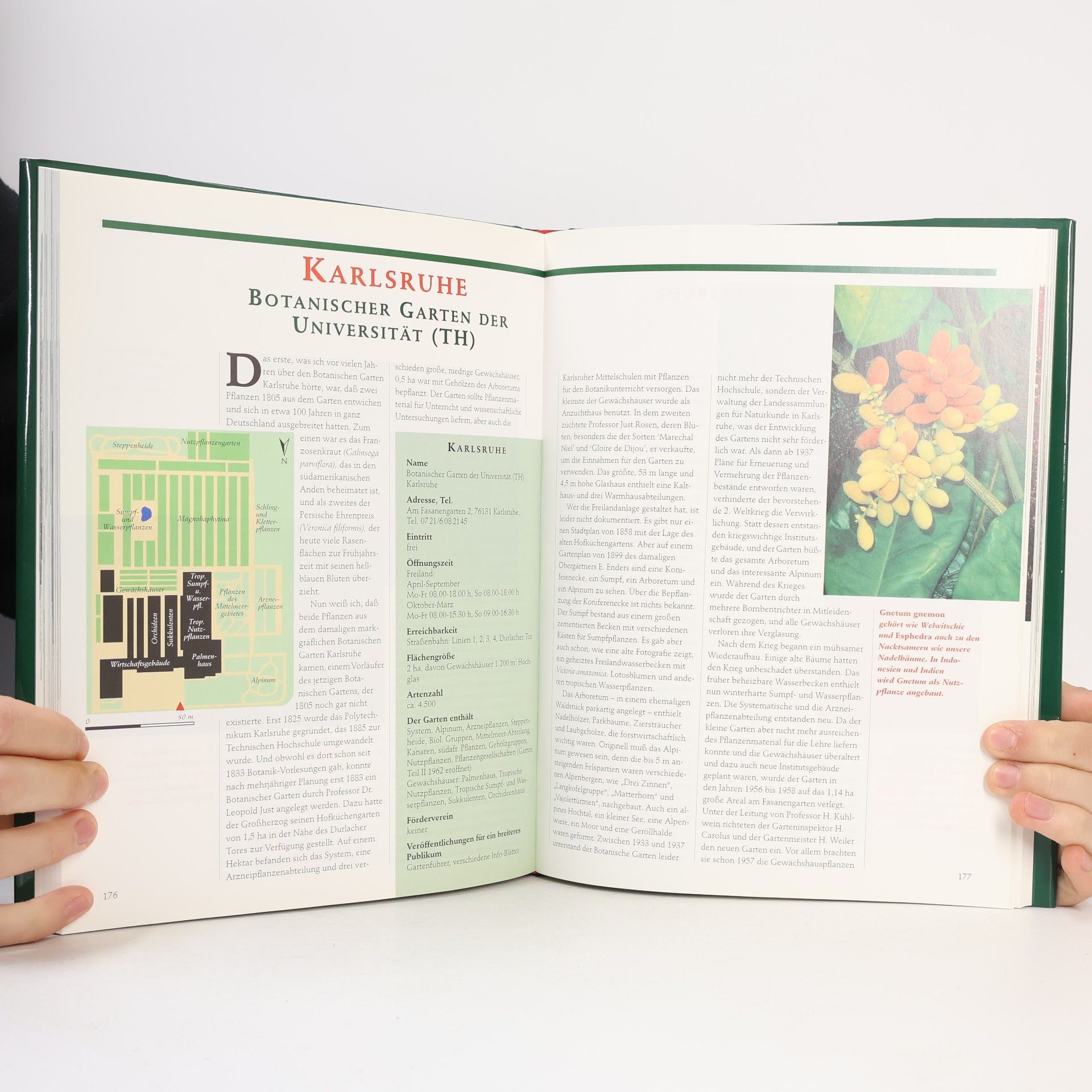 Loki Schmidt Die Botanischen Gärten in Deutschland