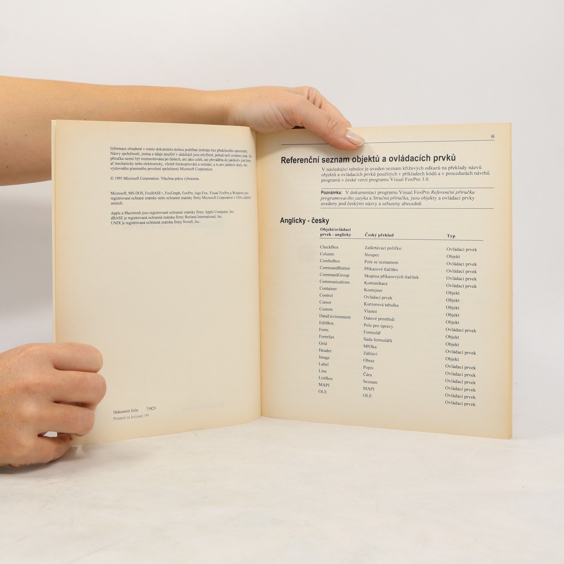 Autorenkollektiv Microsoft Visual FoxPro: Stručná reference