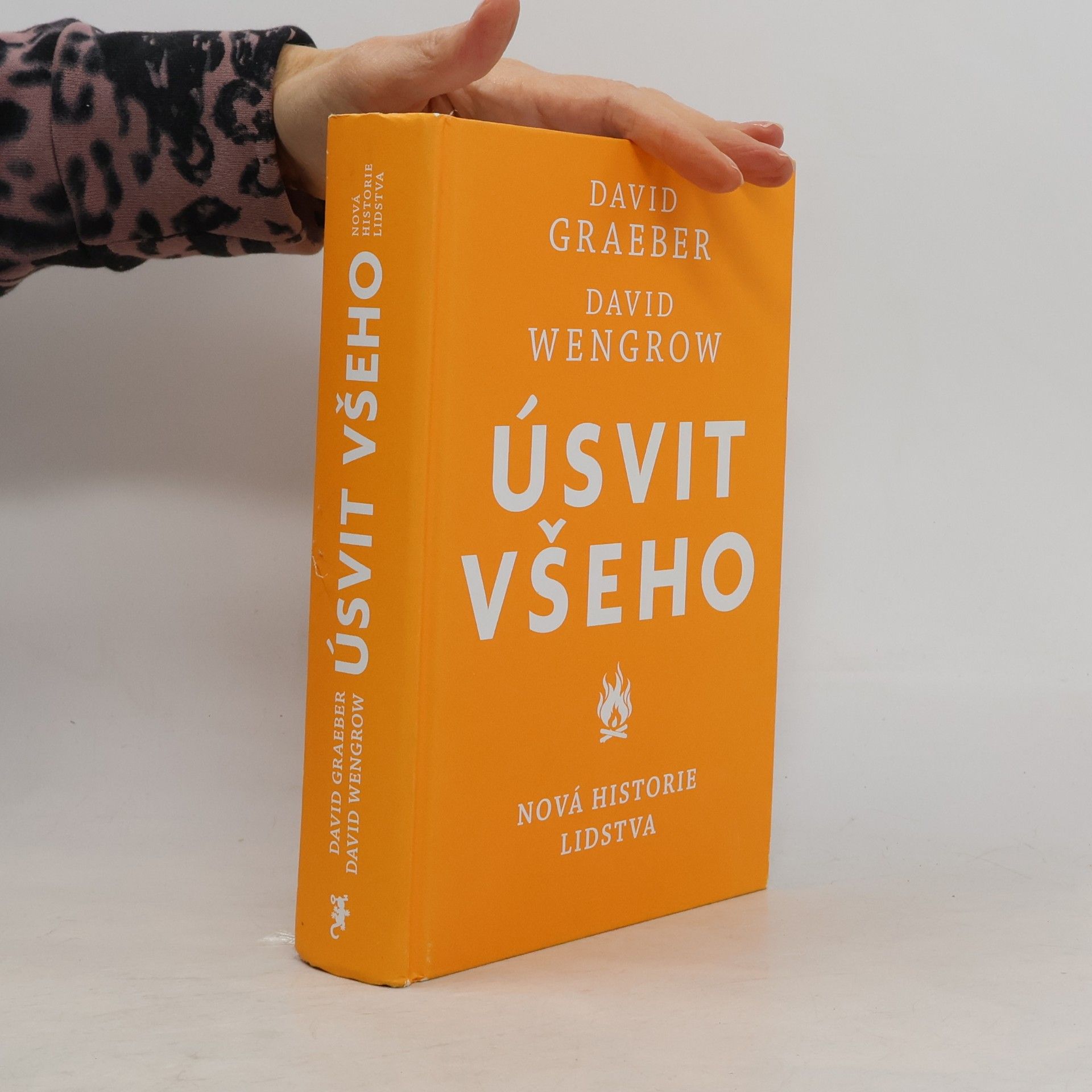 D. Wengrow Úsvit všeho. Nová historie lidstva