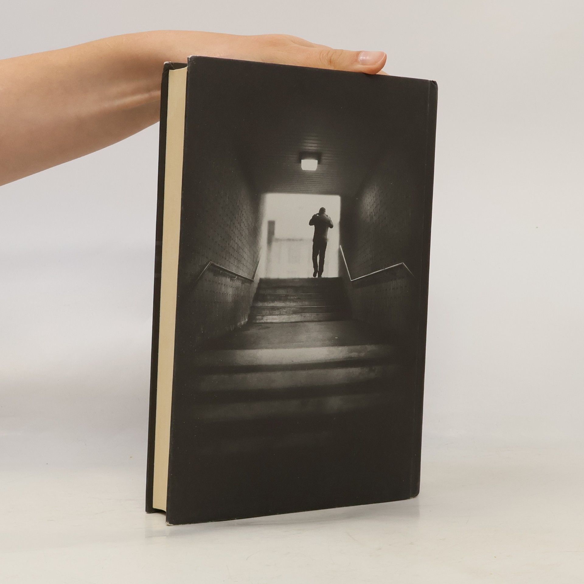 Paula Hawkins Dívka ve vlaku