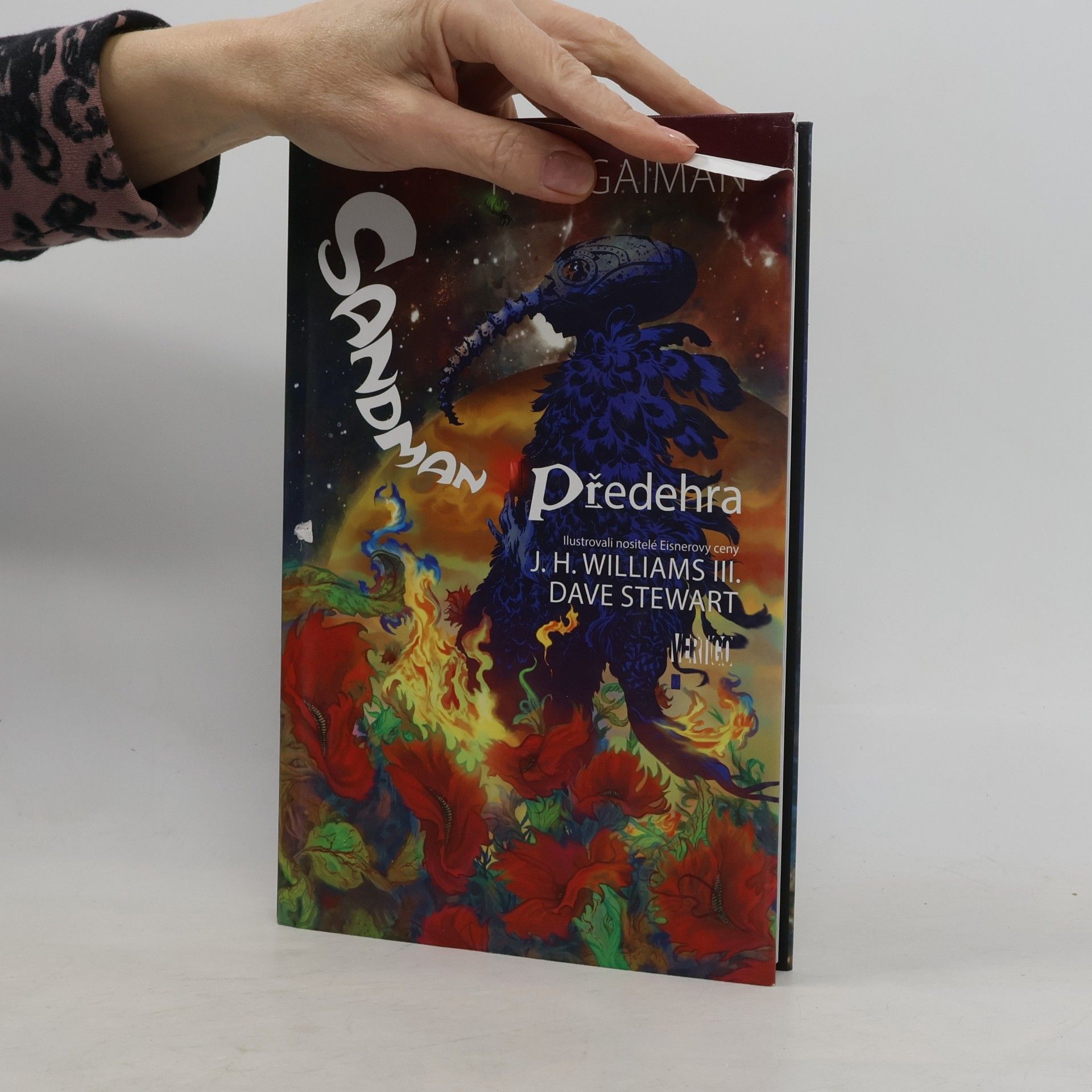 Neil Gaiman Sandman. Předehra
