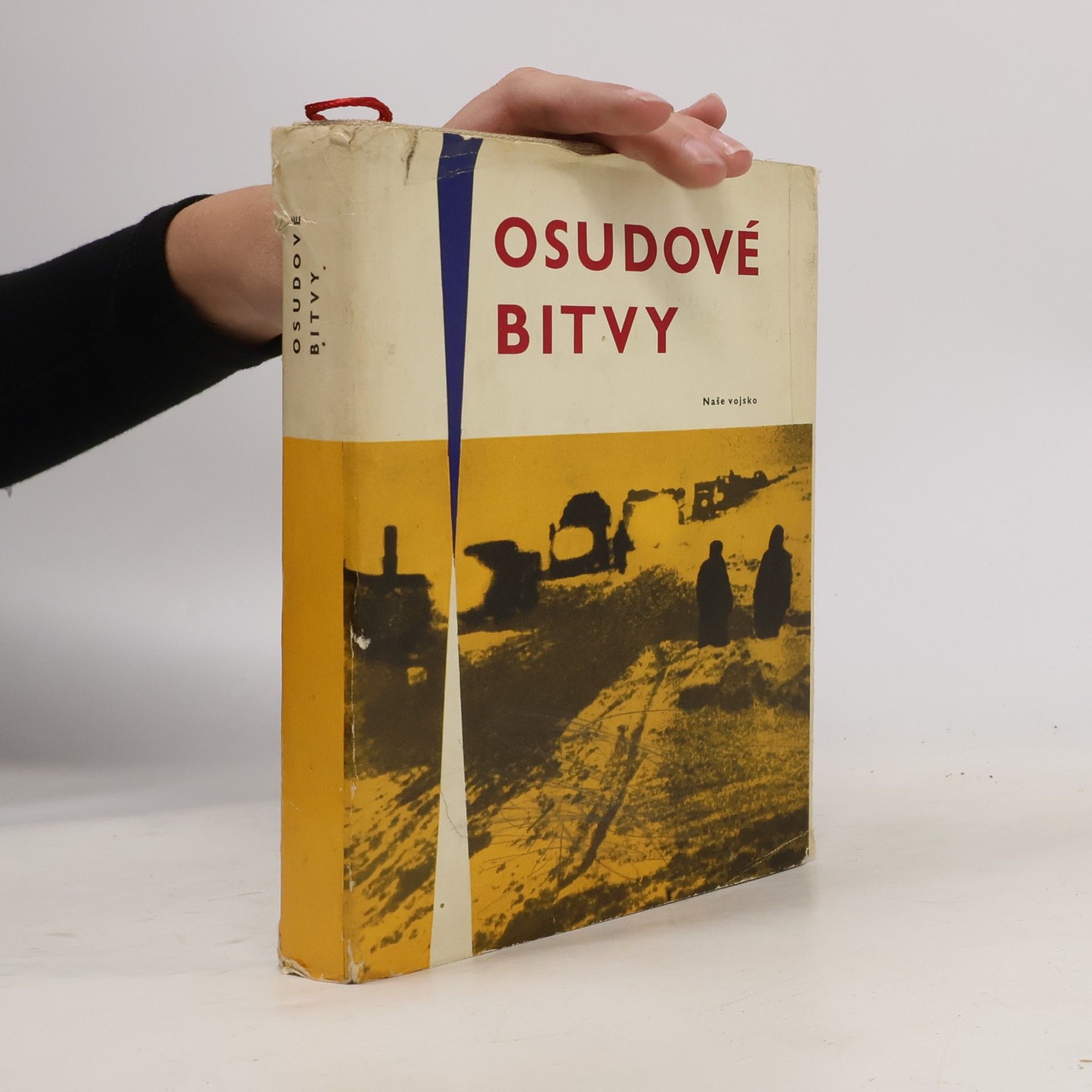 Kolektiv autorů Osudové bitvy