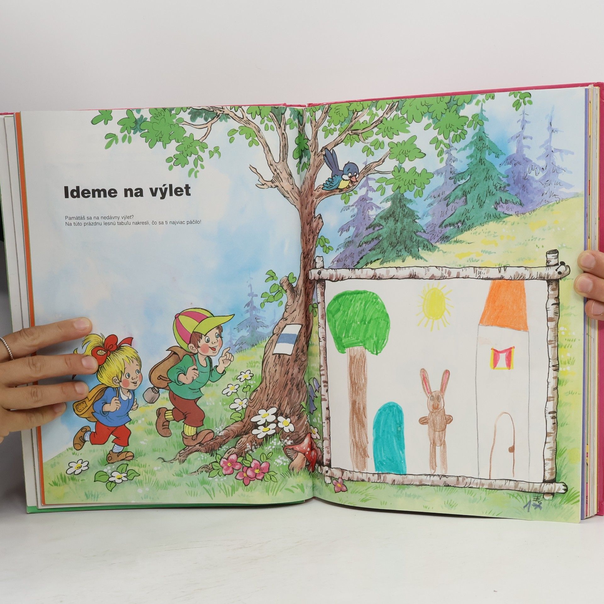 Anikó Csörgő Veľká knižka predškoláka