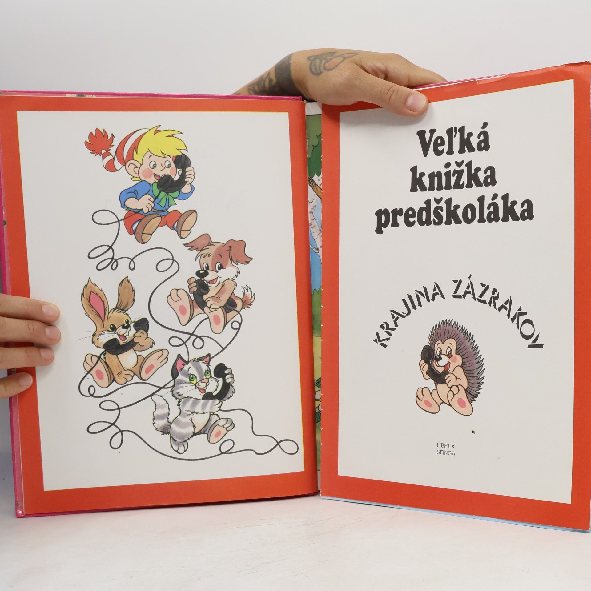 Anikó Csörgő Veľká knižka predškoláka
