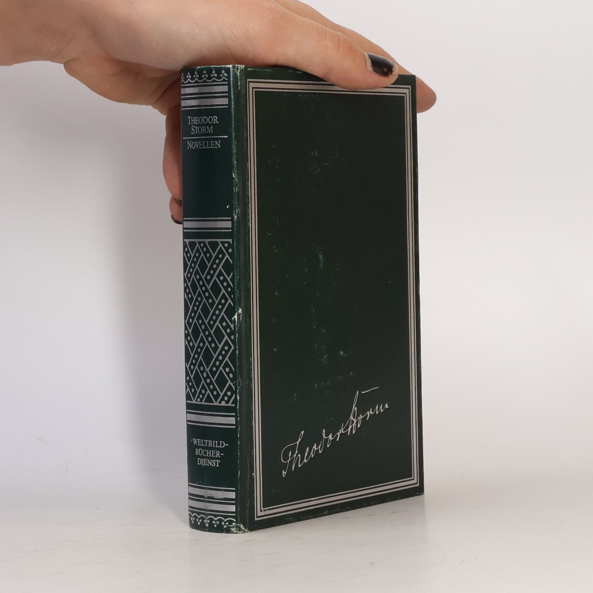 Theodor Storm Novellen