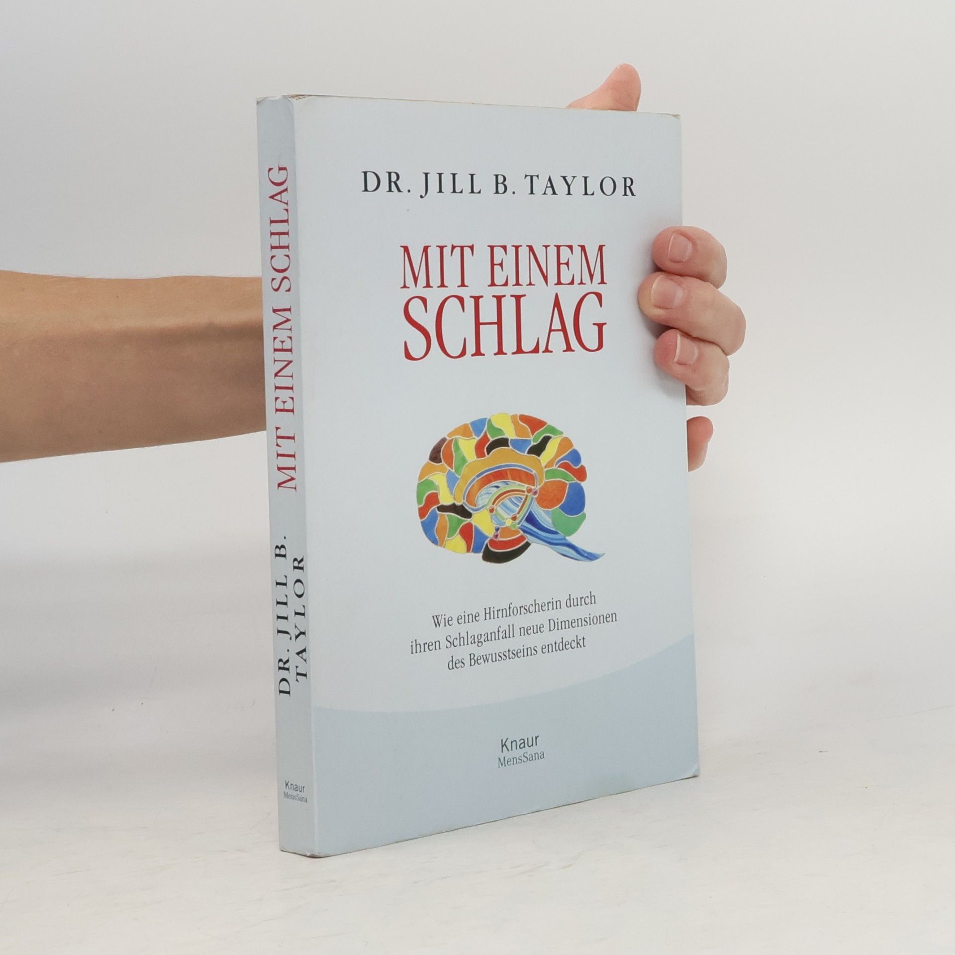 Jill Bolte Taylor Mit einem Schlag