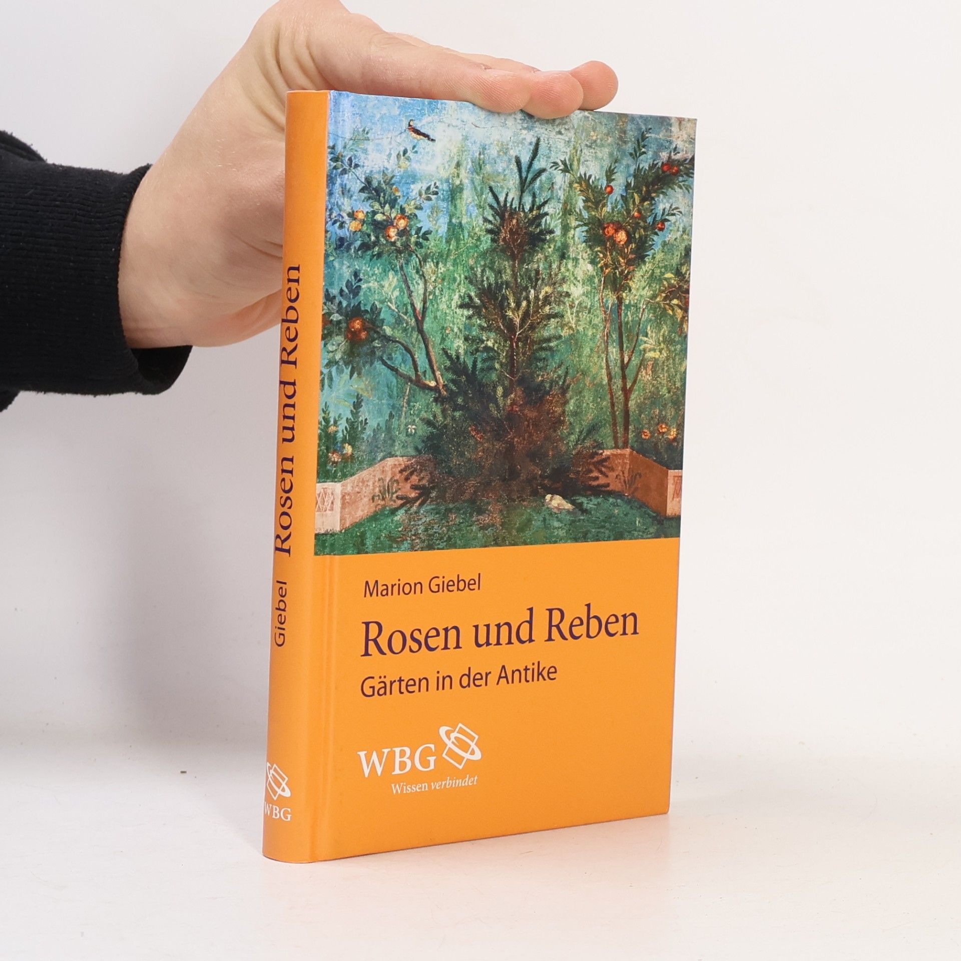 Rosen und Reben