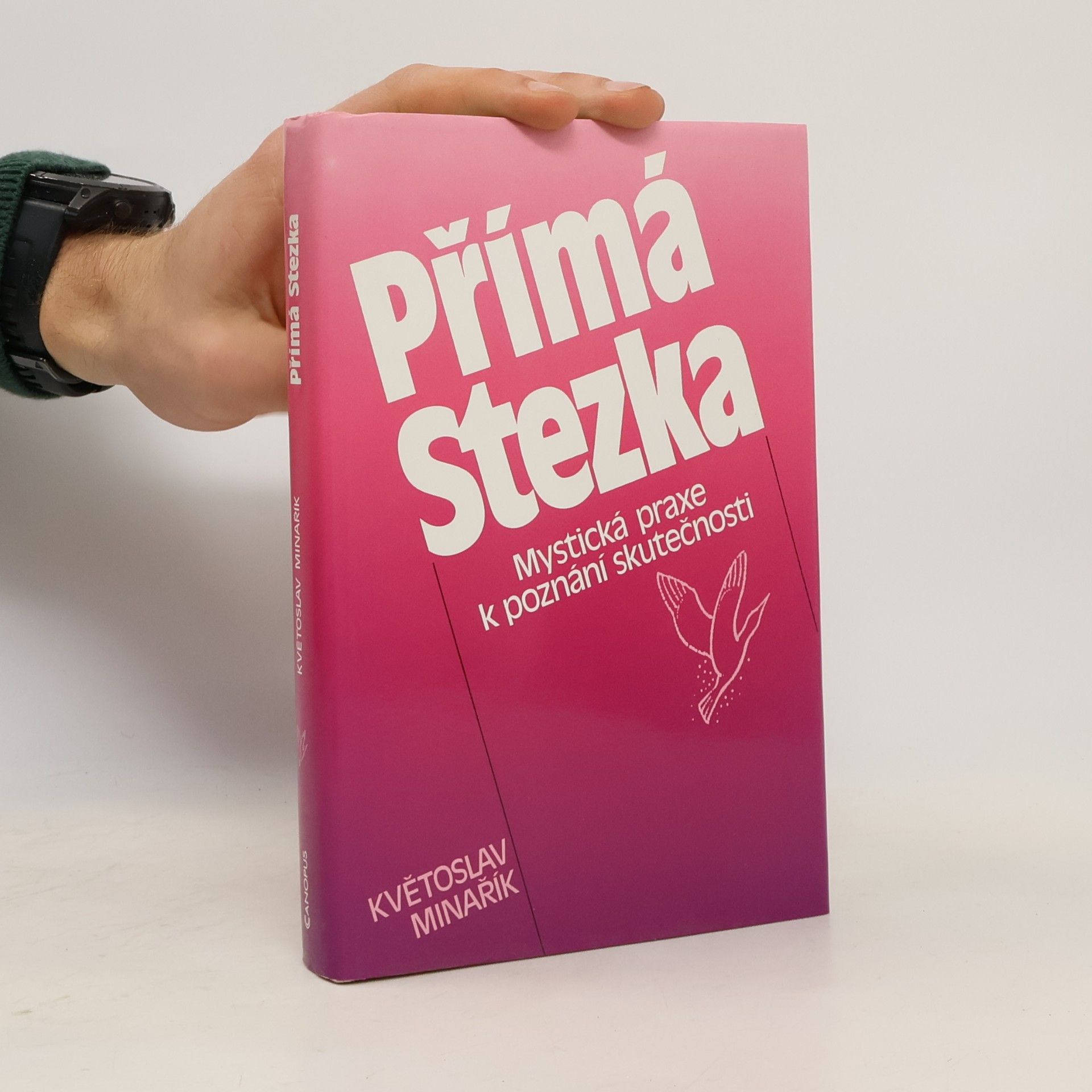 Květoslav Minařík Přímá stezka