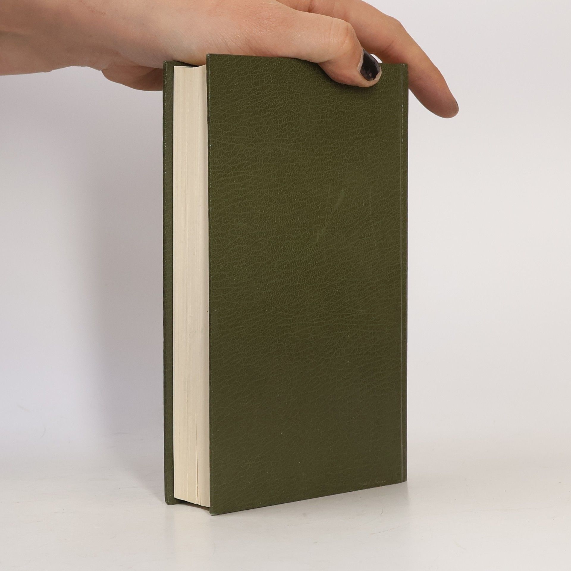 Nikolai Gogol Die toten Seelen. Petersburger Novellen
