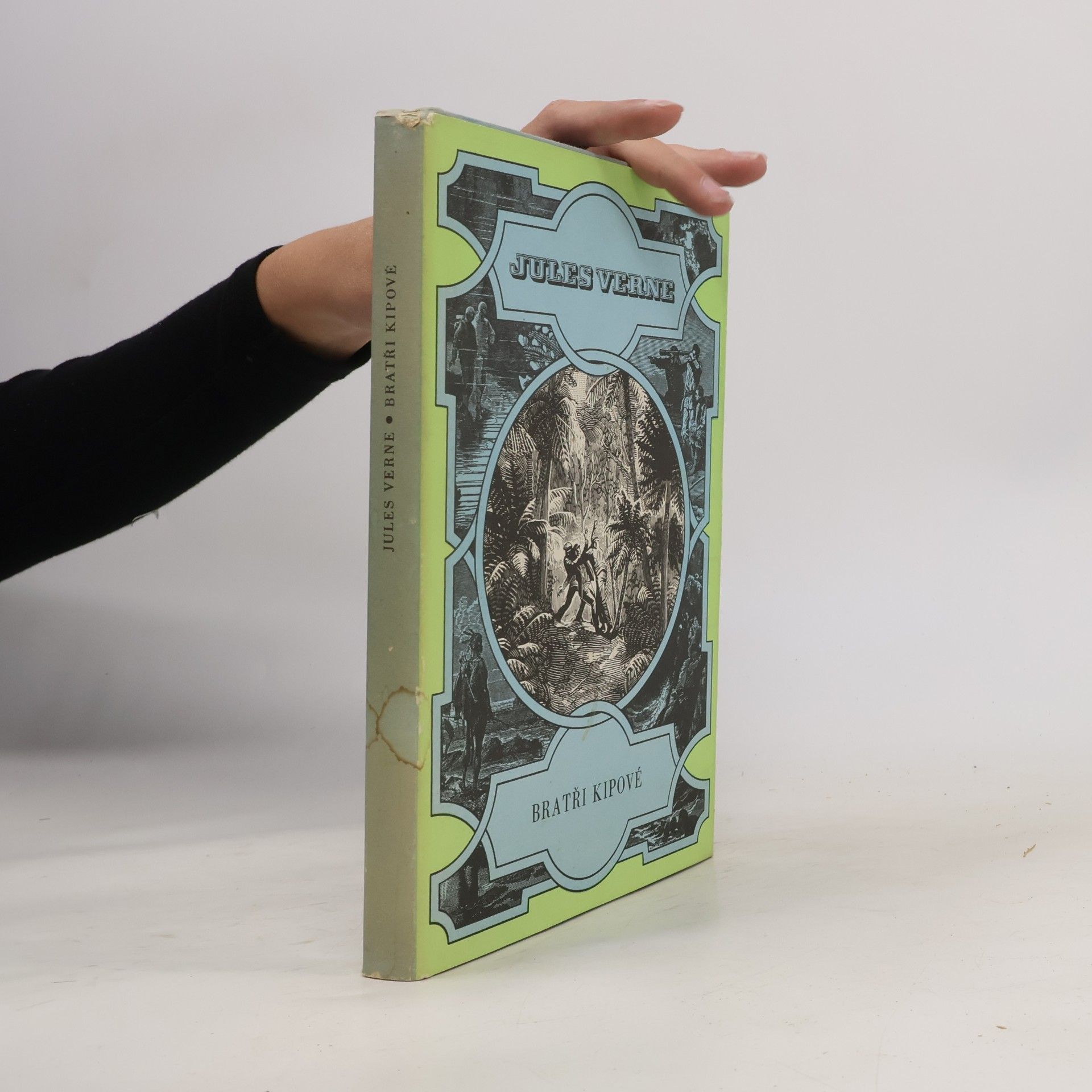 Jules Verne Bratři Kipové