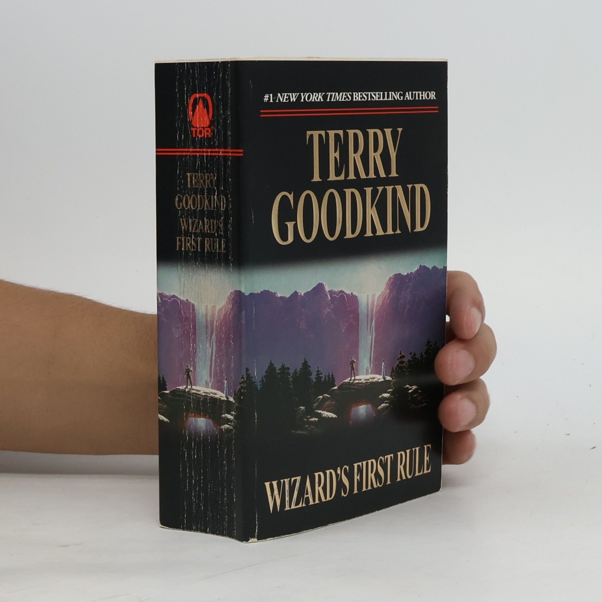 Terry Goodkind Wizard's First Rule