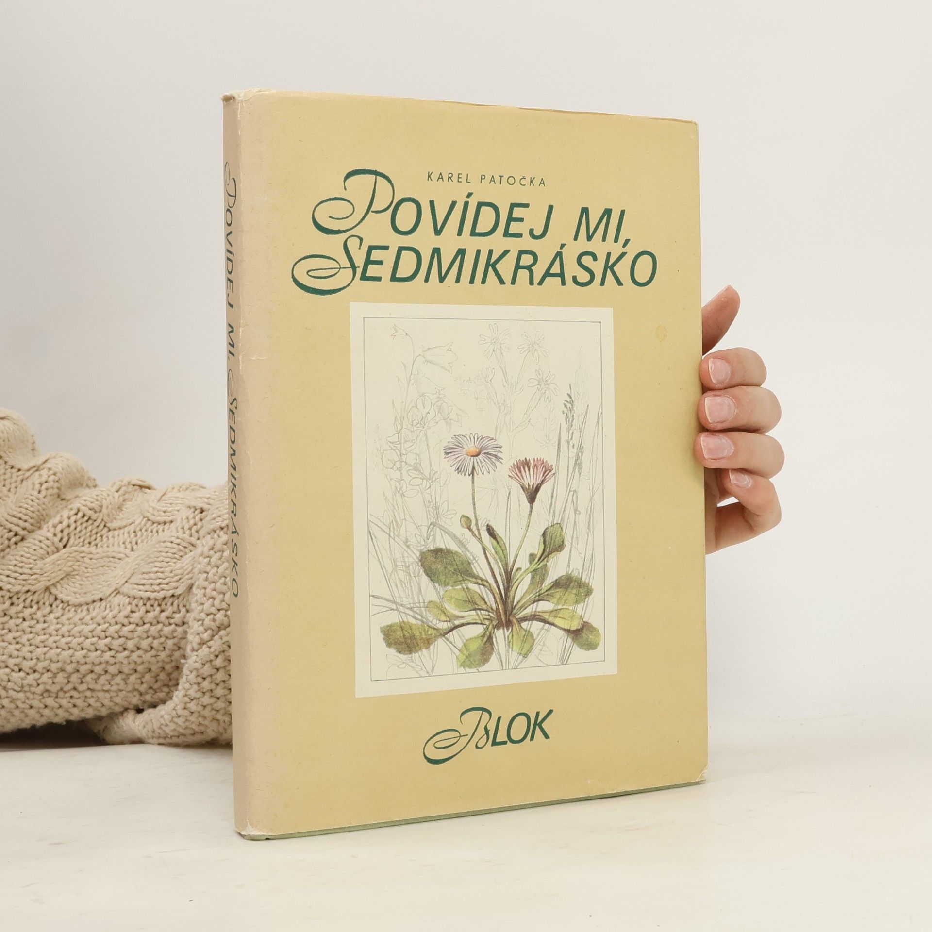 Ludmila Chytilková Povídej mi, sedmikrásko