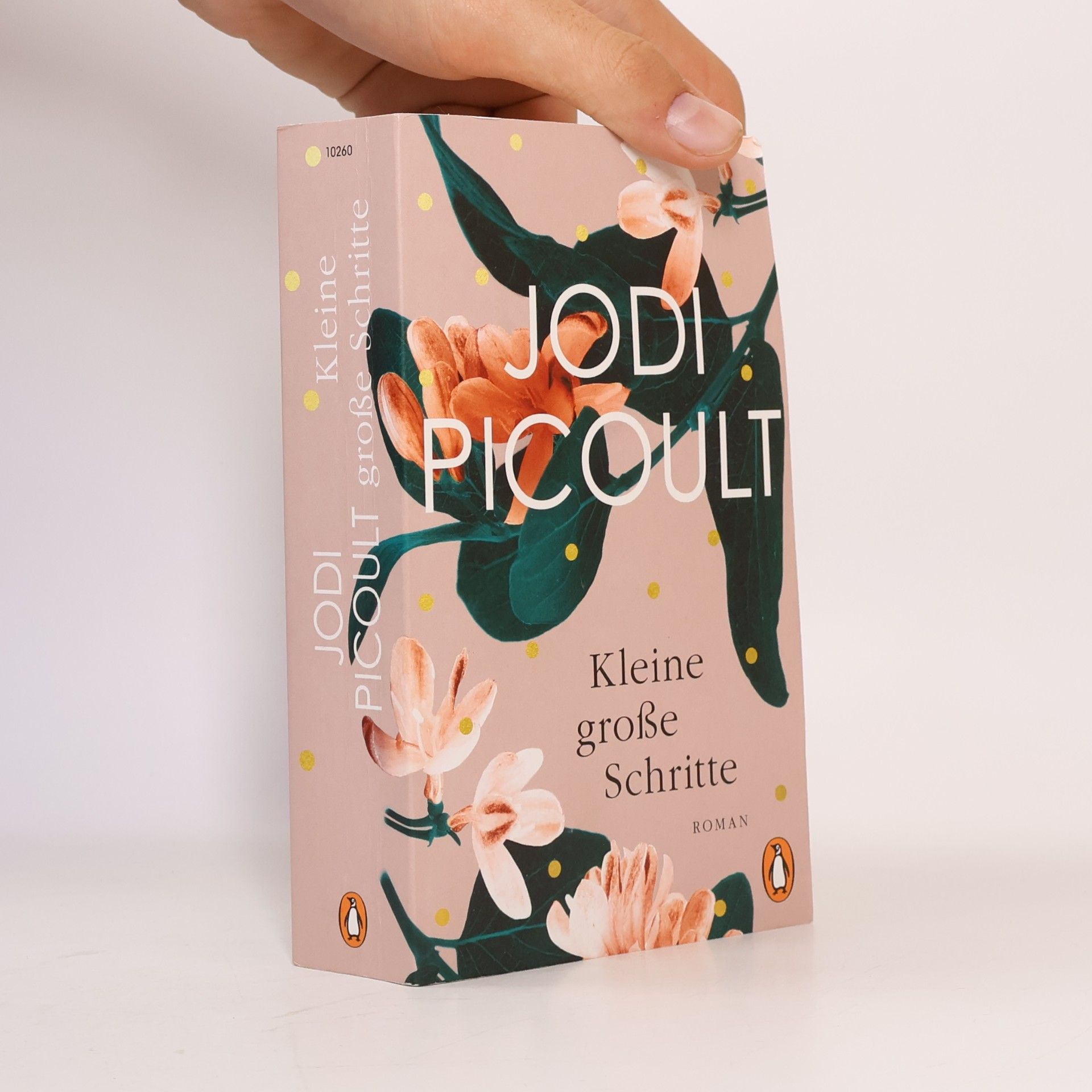 Jodi Picoult Kleine große Schritte