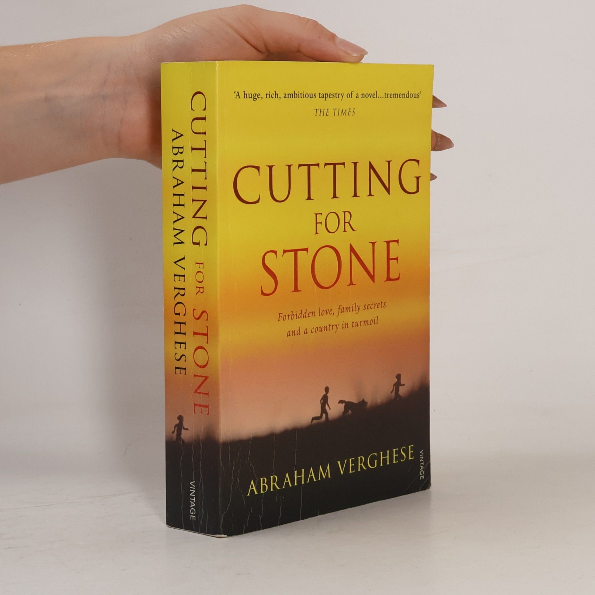 A. Abraham Verghese Cutting for Stone