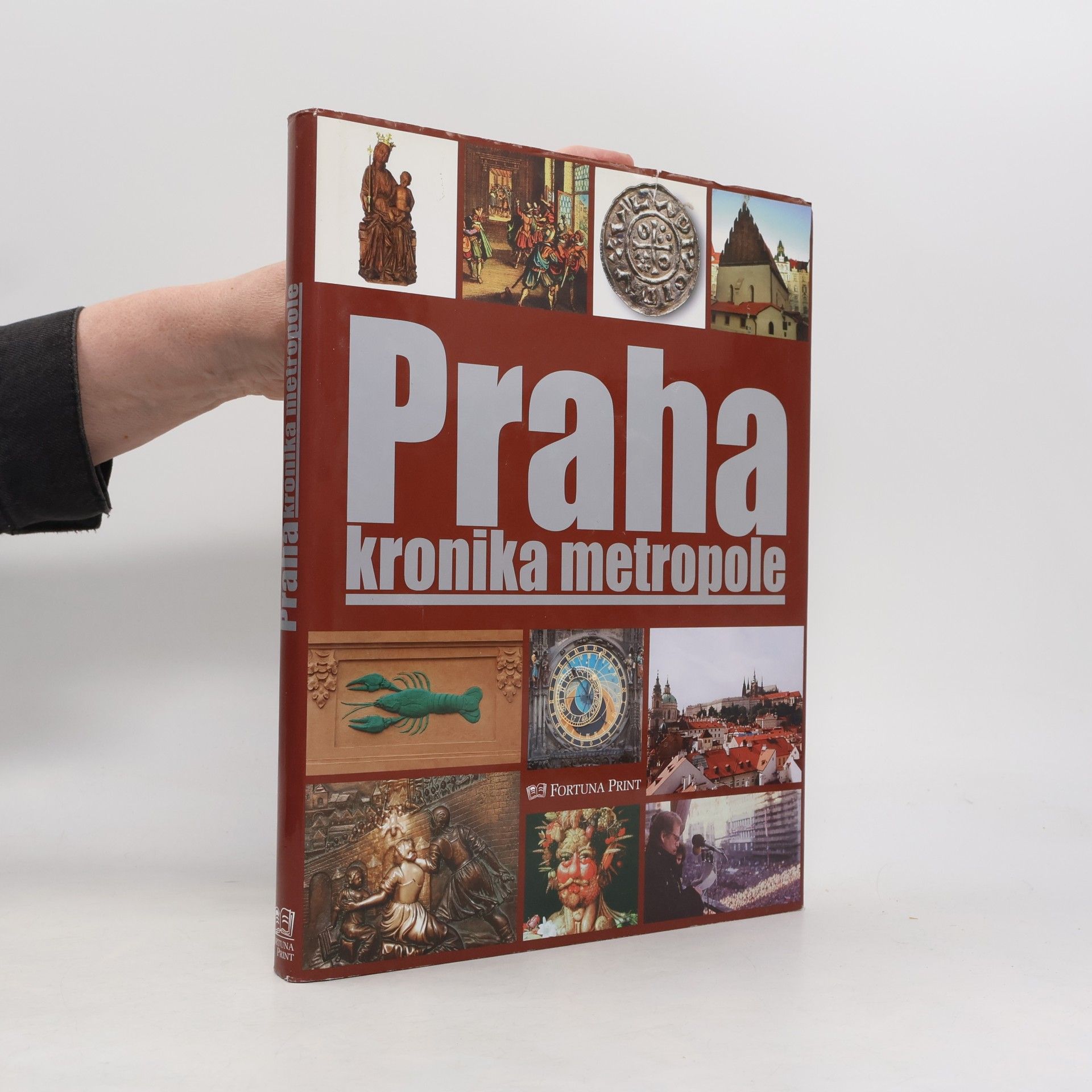 Pavel Bělina Praha : kronika metropole