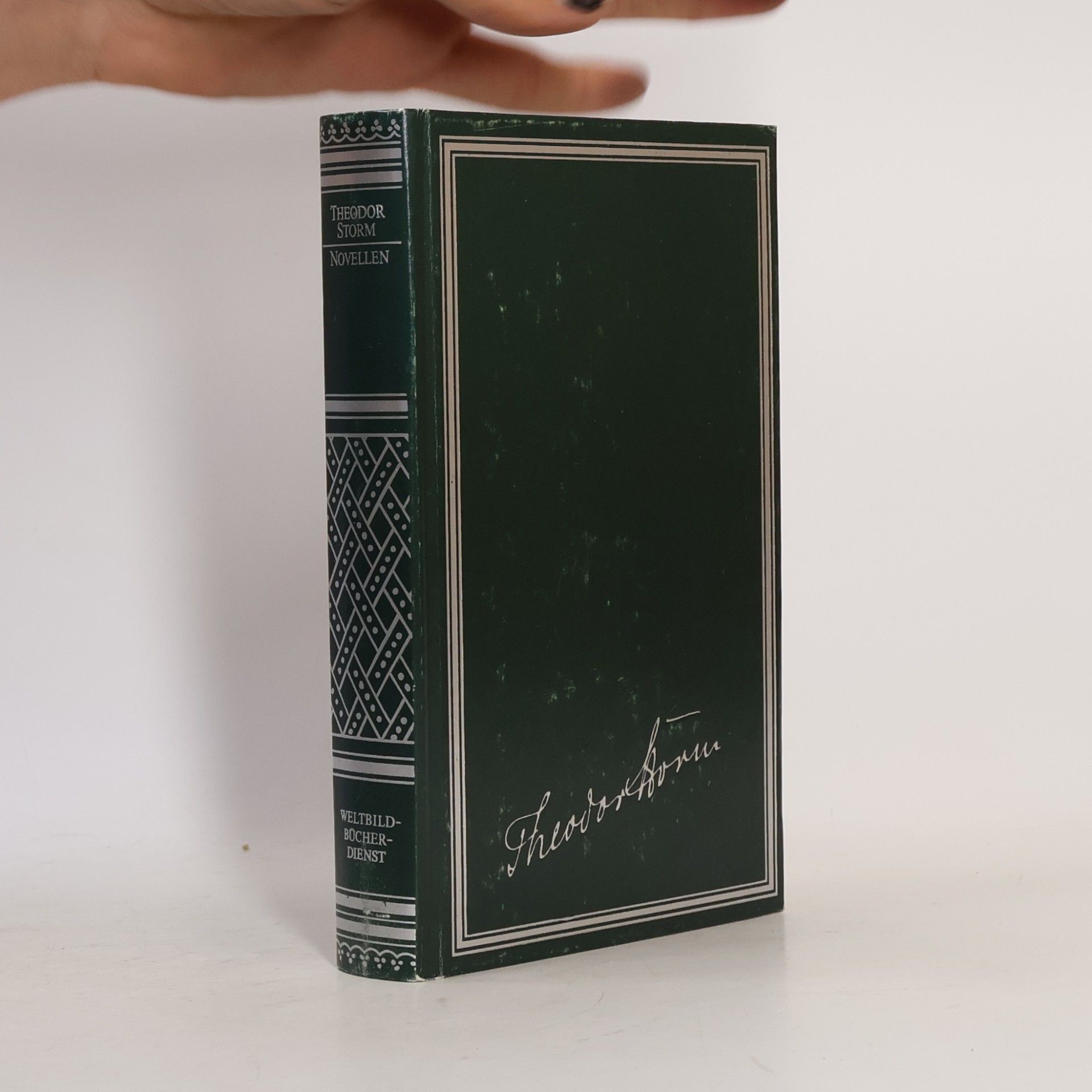 Hans Theodor Woldsen Storm Novellen