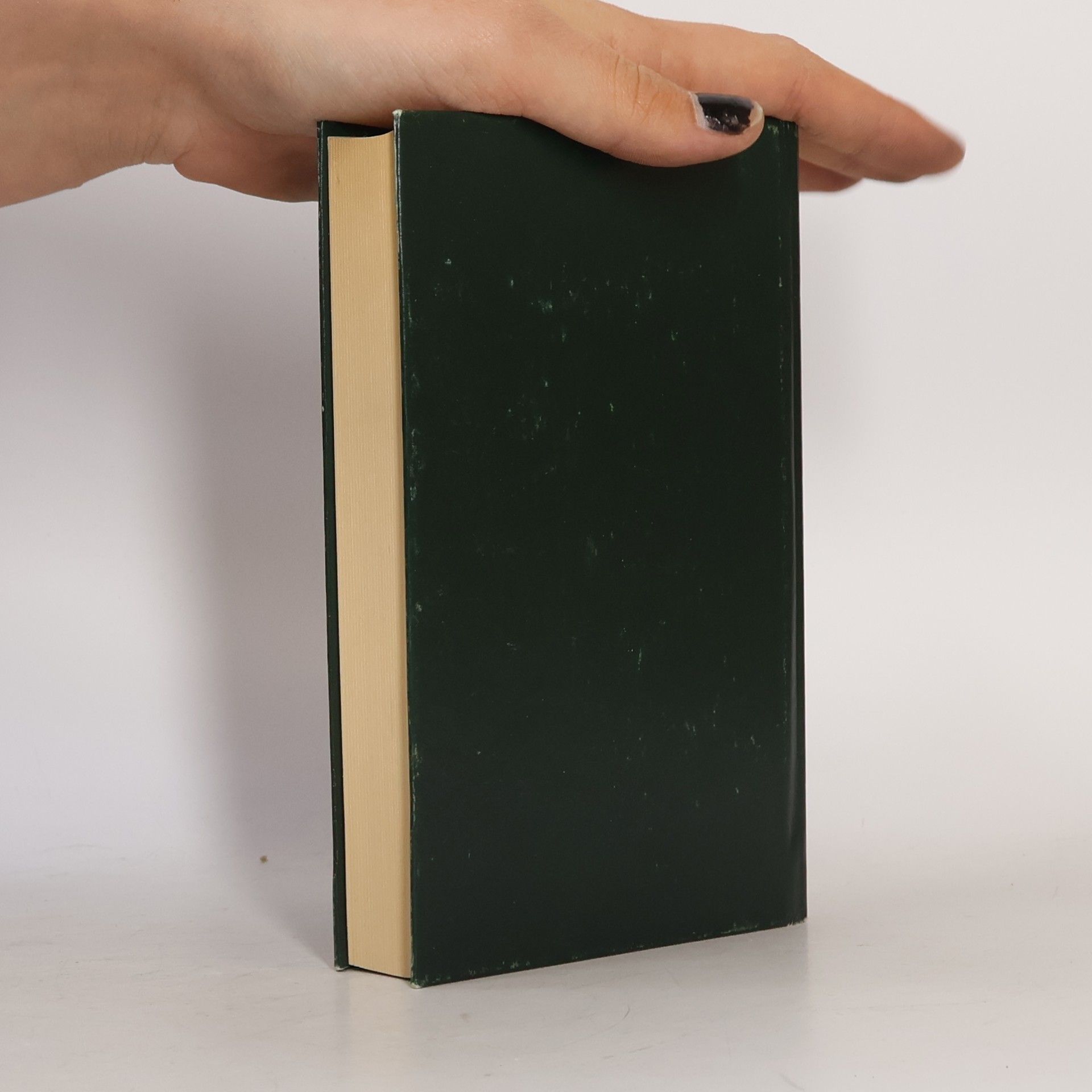 Theodor Storm Novellen