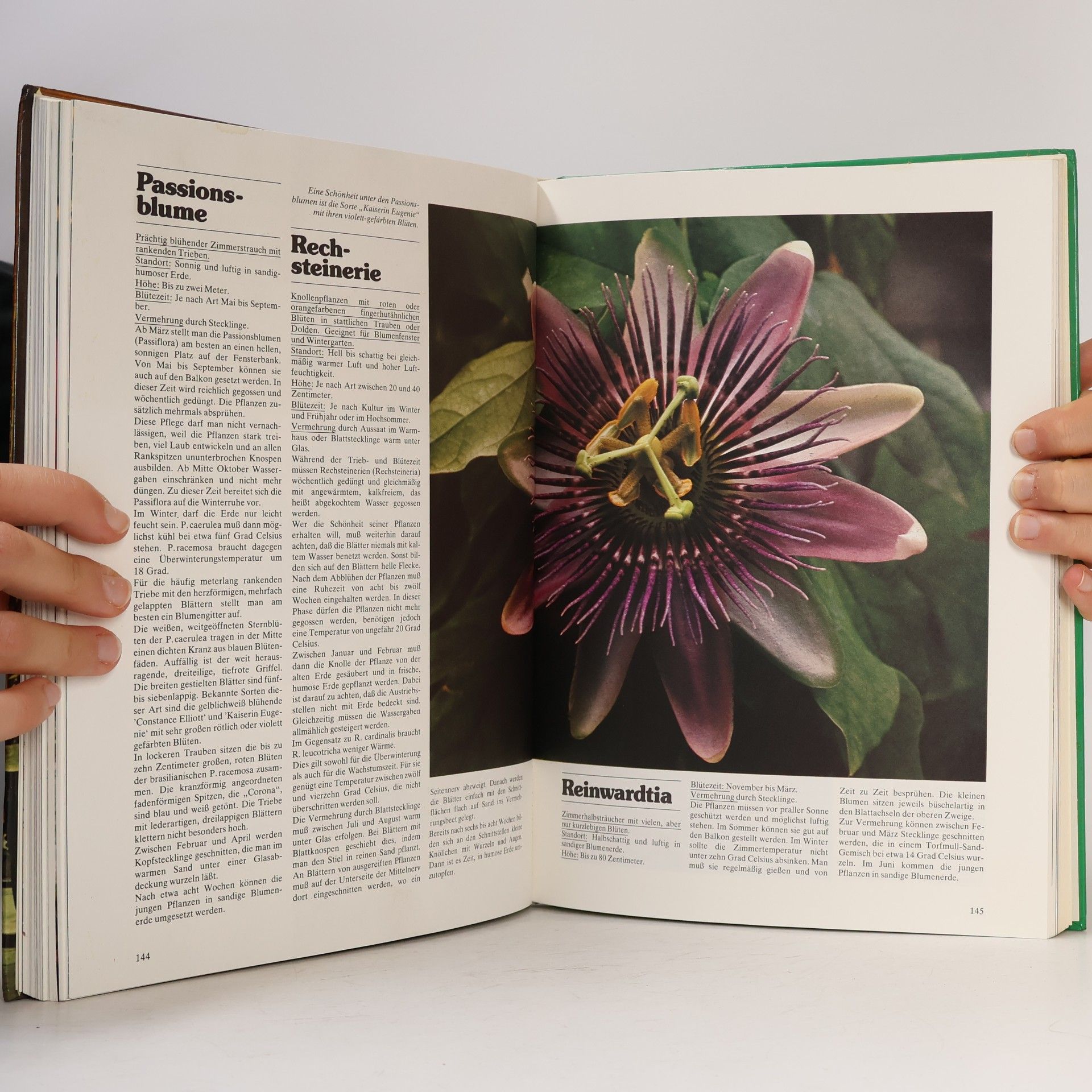 Autorenkollektiv Meine Blumen und Pflanzen in Haus und Garten