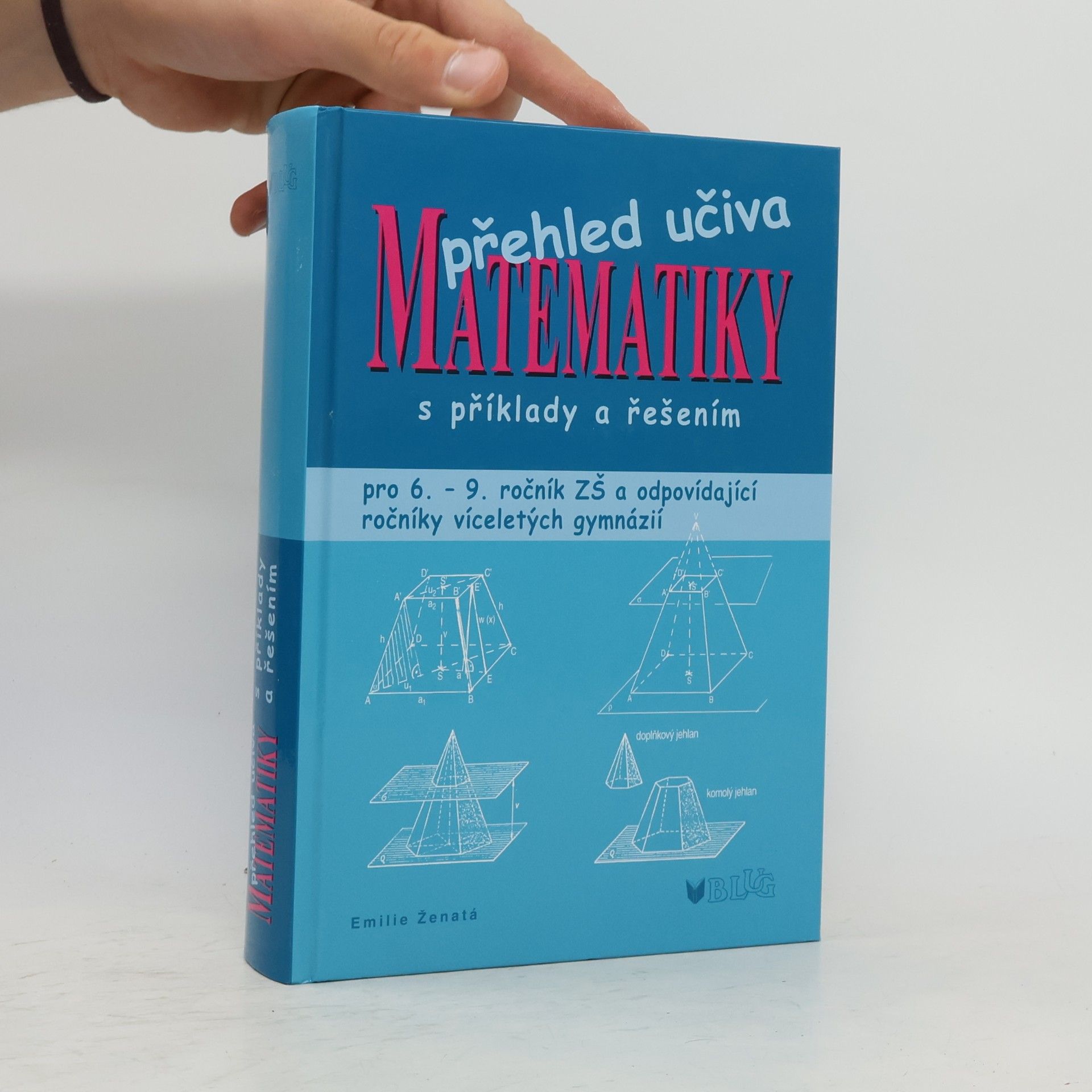 Přehled učiva matematiky: Pro 6. - 9. ročník ZŠ a víceletá gymnázia, s příklady a řešením
