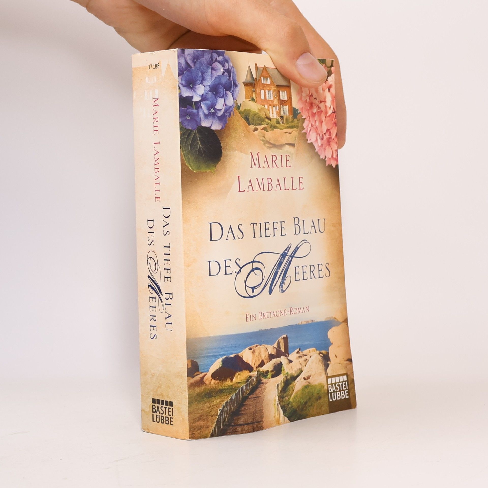Anne Jacobs Das tiefe Blau des Meeres