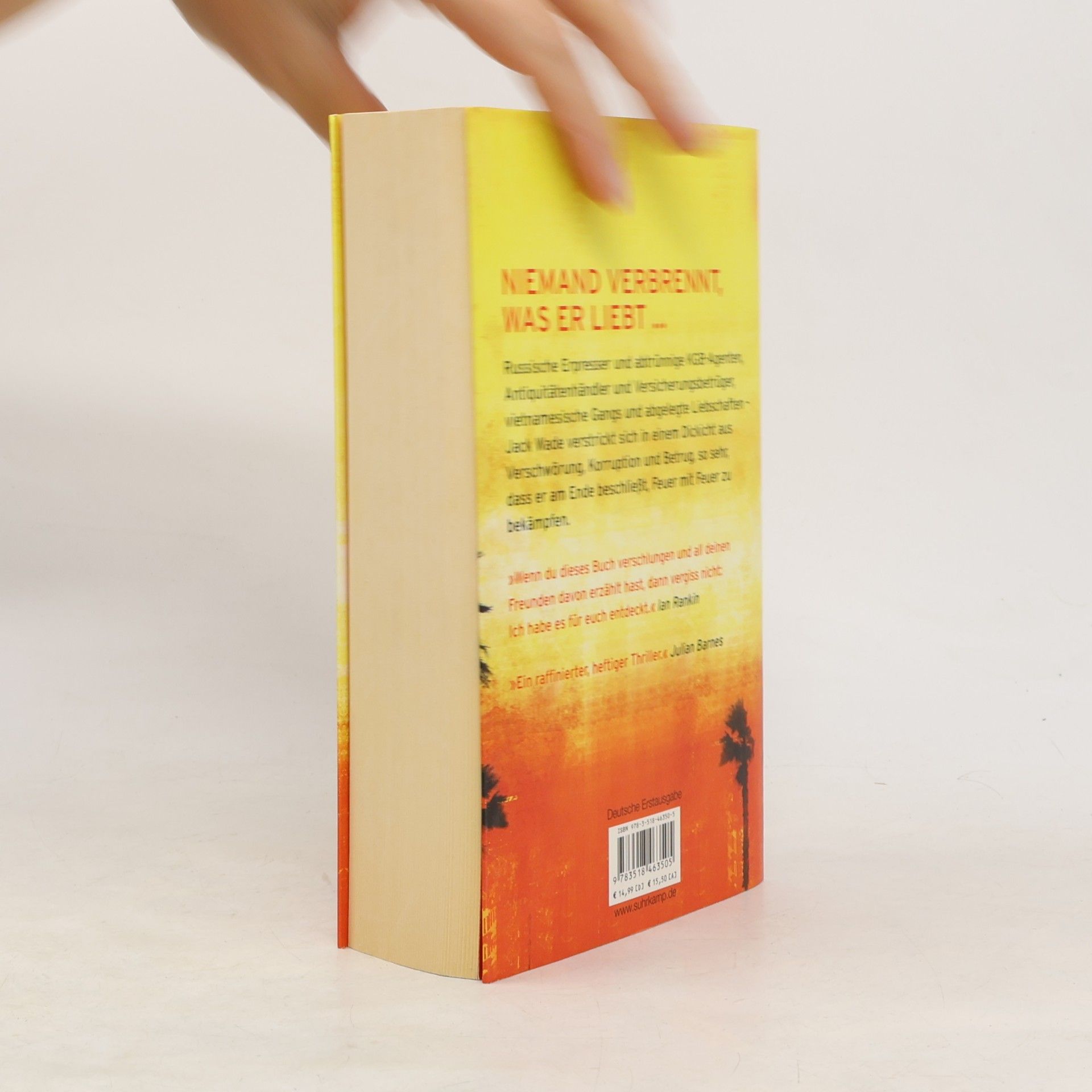 Don Winslow Die Sprache des Feuers