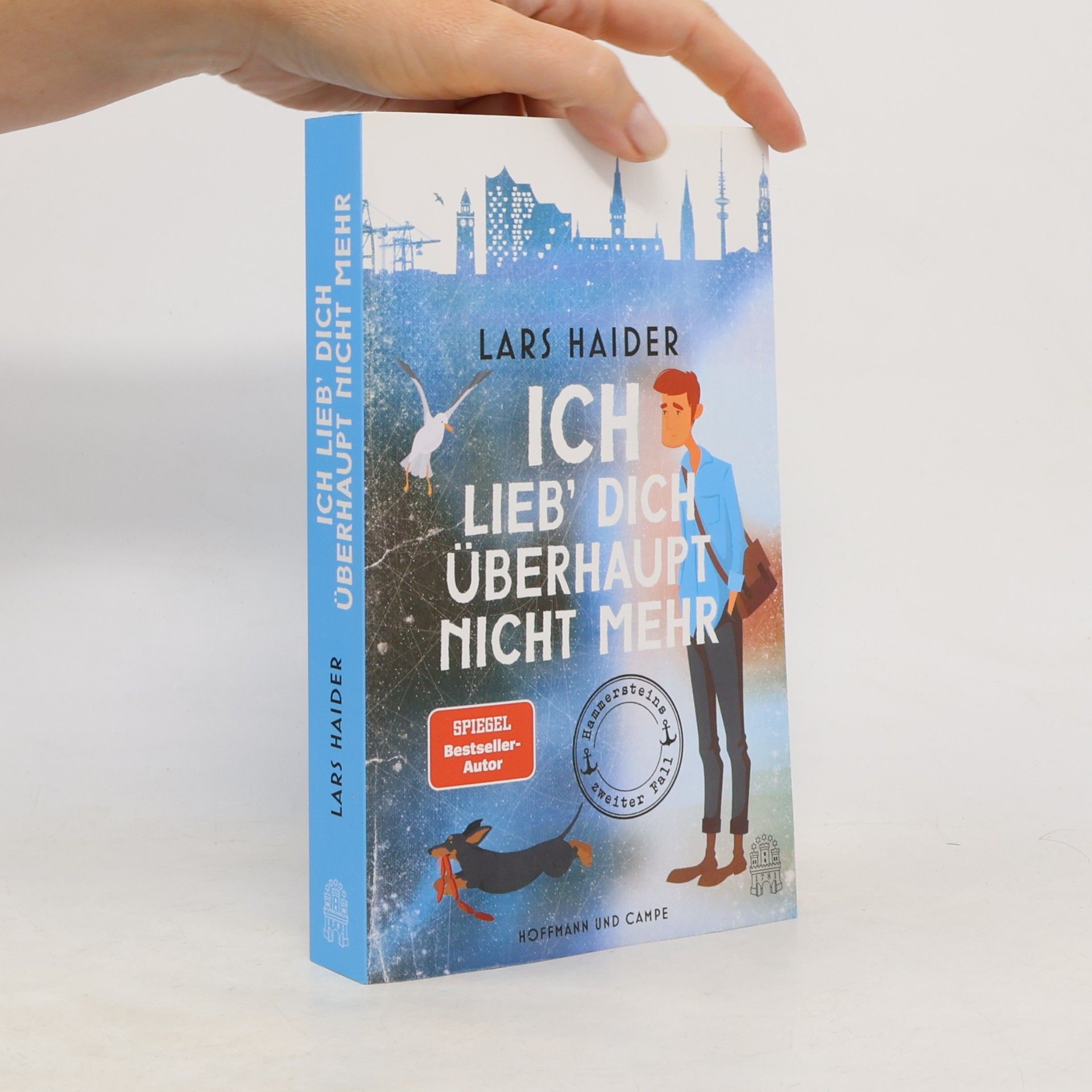 Lars Haider Ich lieb' dich überhaupt nicht mehr